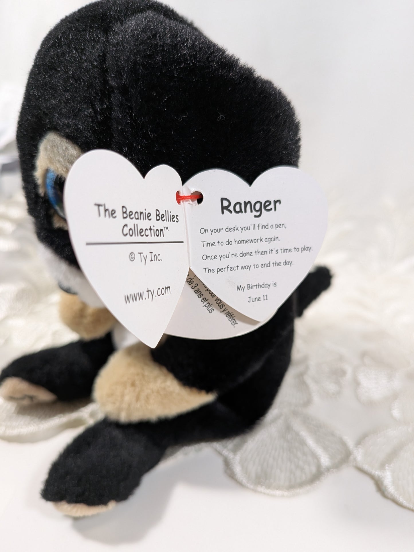 Ty Beanie Bellies - Ranger The Dog (8in)