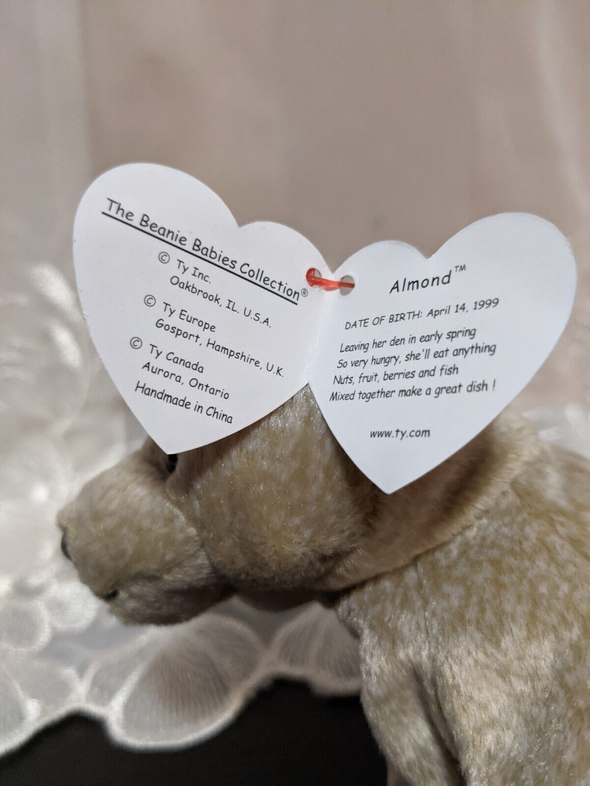 Ty Beanie Baby - Almond the Beige Bear (7in) - Vintage Beanies Canada