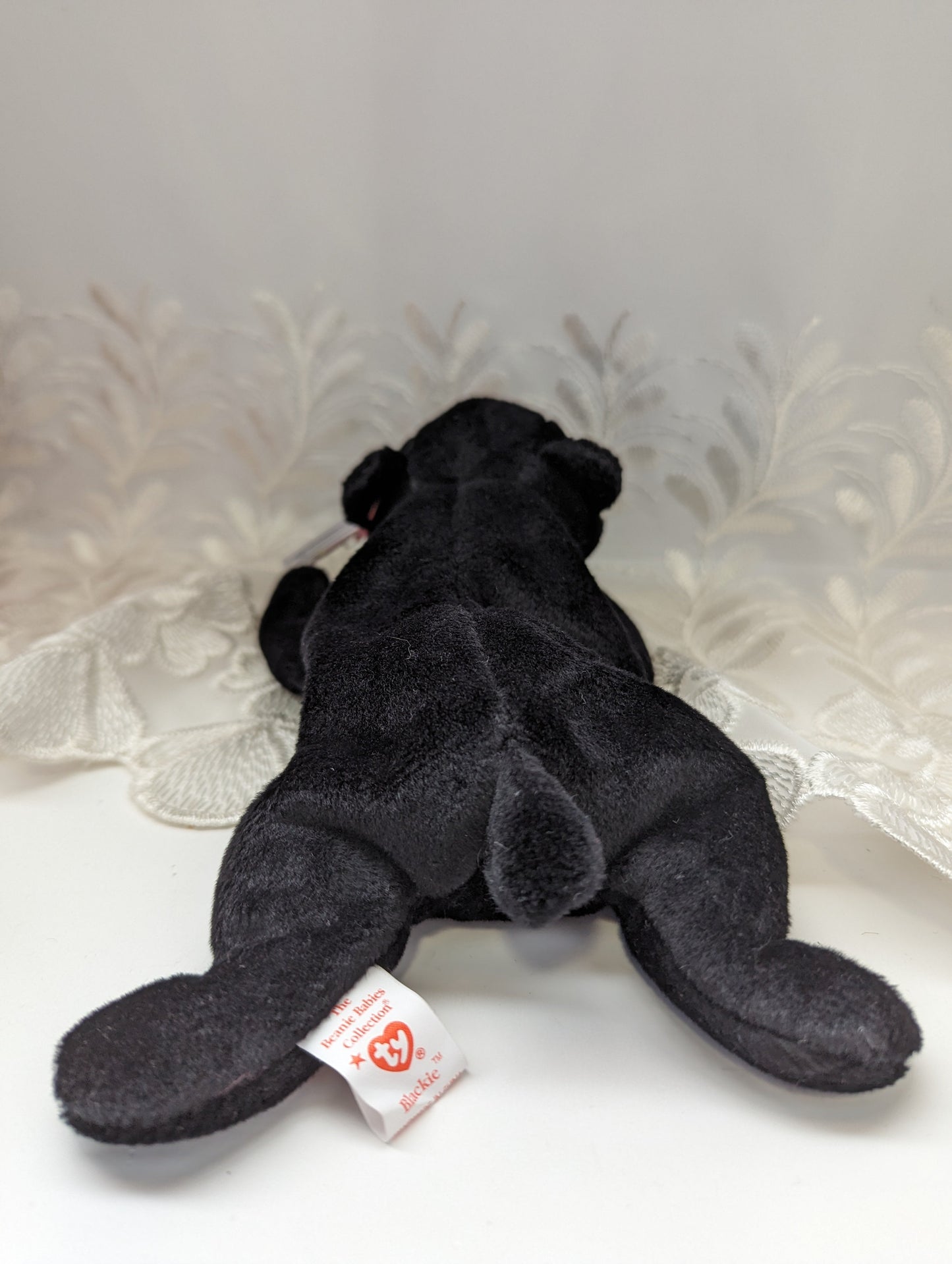 Ty Beanie Baby - Blackie The Black Bear (8in) - Vintage Beanies Canada