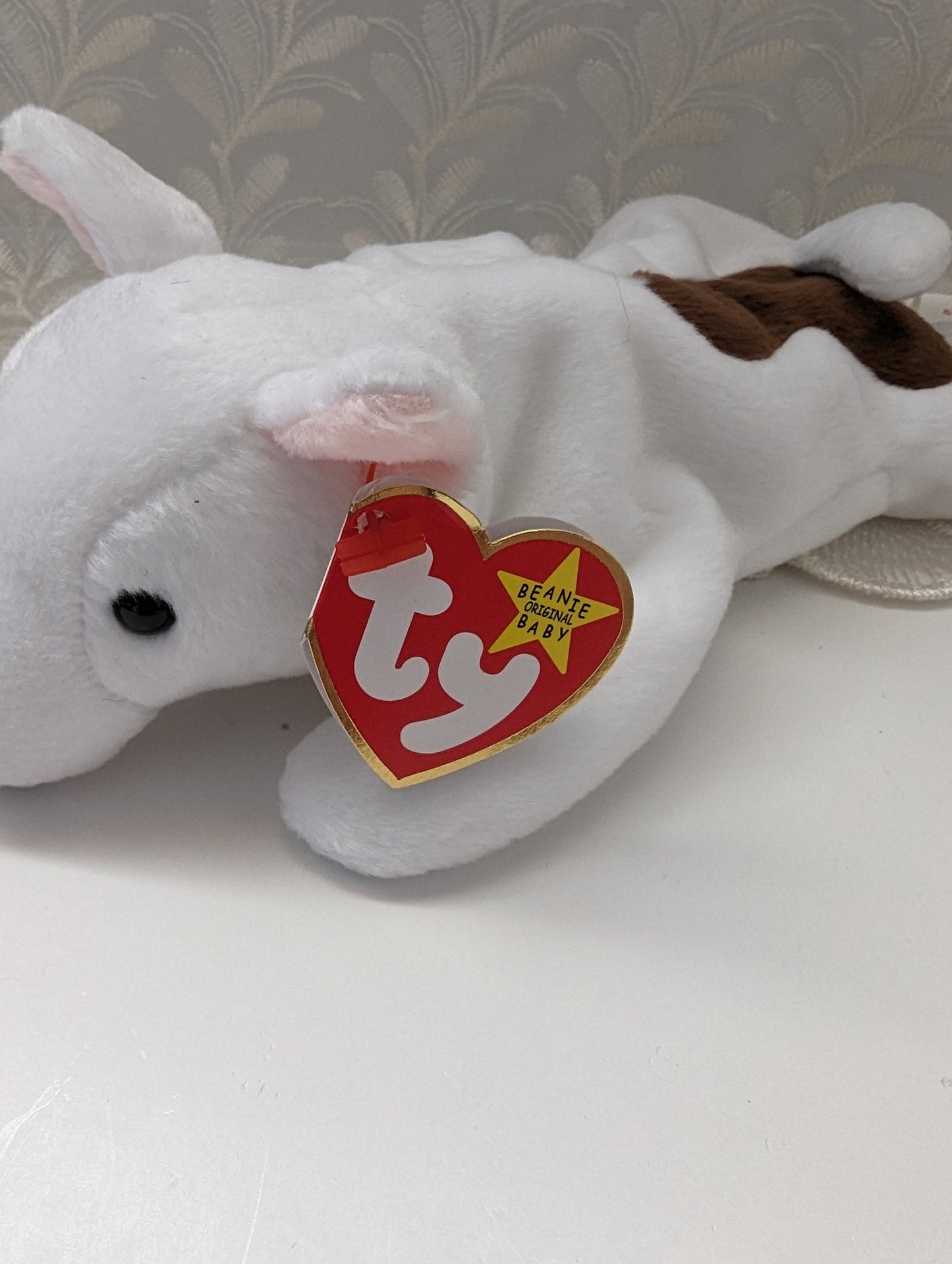 Ty Beanie Baby - Butch The Bull Terrier Dog (8in) - Vintage Beanies Canada
