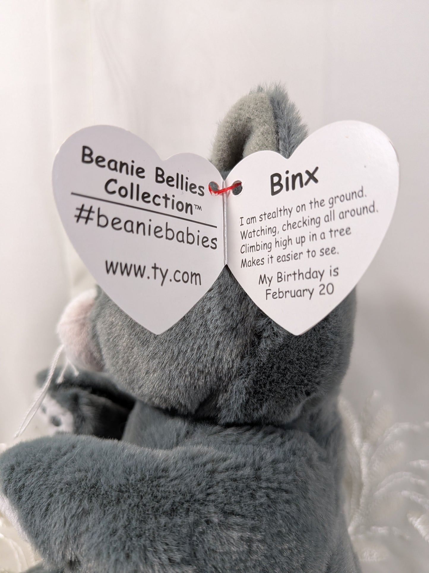 Ty Beanie Bellies - Binx the gray cat (8in) - Vintage Beanies Canada