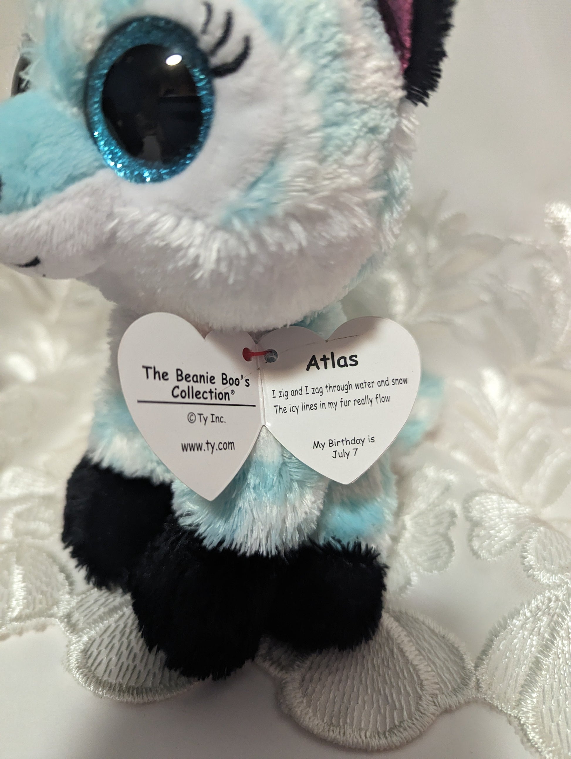 Ty Beanie Boo - Atlas The Fox (6in) - Vintage Beanies Canada