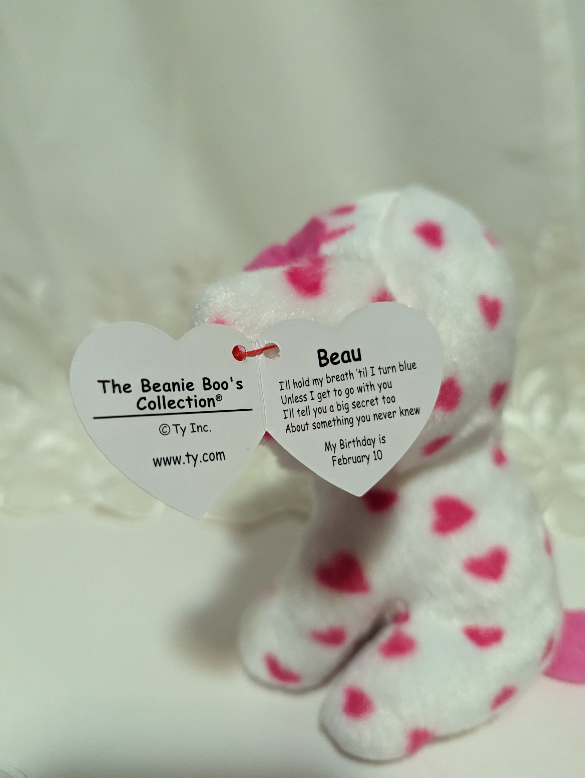 Ty Beanie Boo - Beau The Dog (6in) - Vintage Beanies Canada