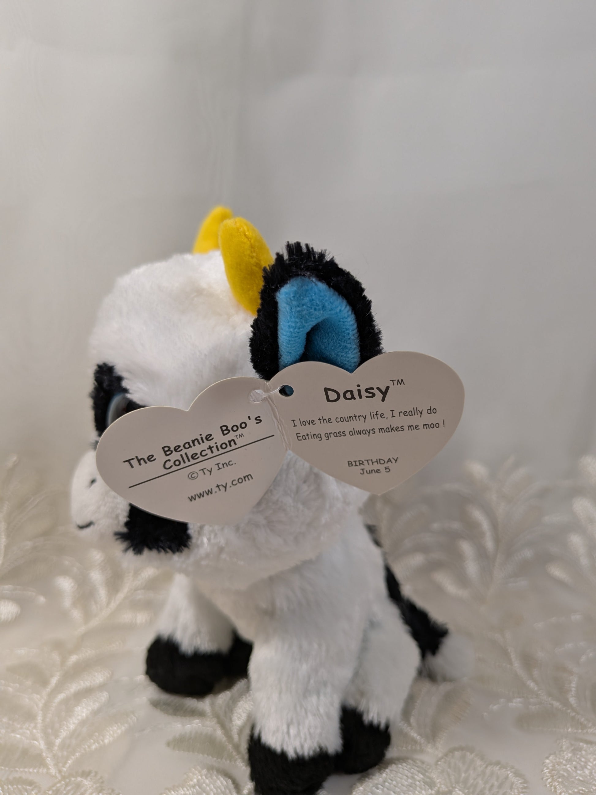 Ty Beanie Boo - Daisy the Cow (6in) *Rare* First Generation, Purple Tag - Vintage Beanies Canada