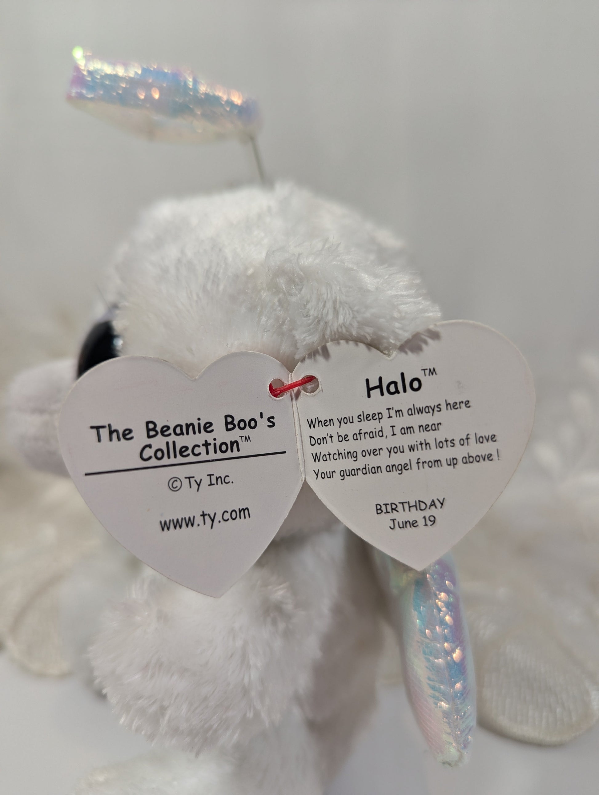 Ty Beanie Boo - Halo the Angel Bear (6in) *Rare* - Vintage Beanies Canada