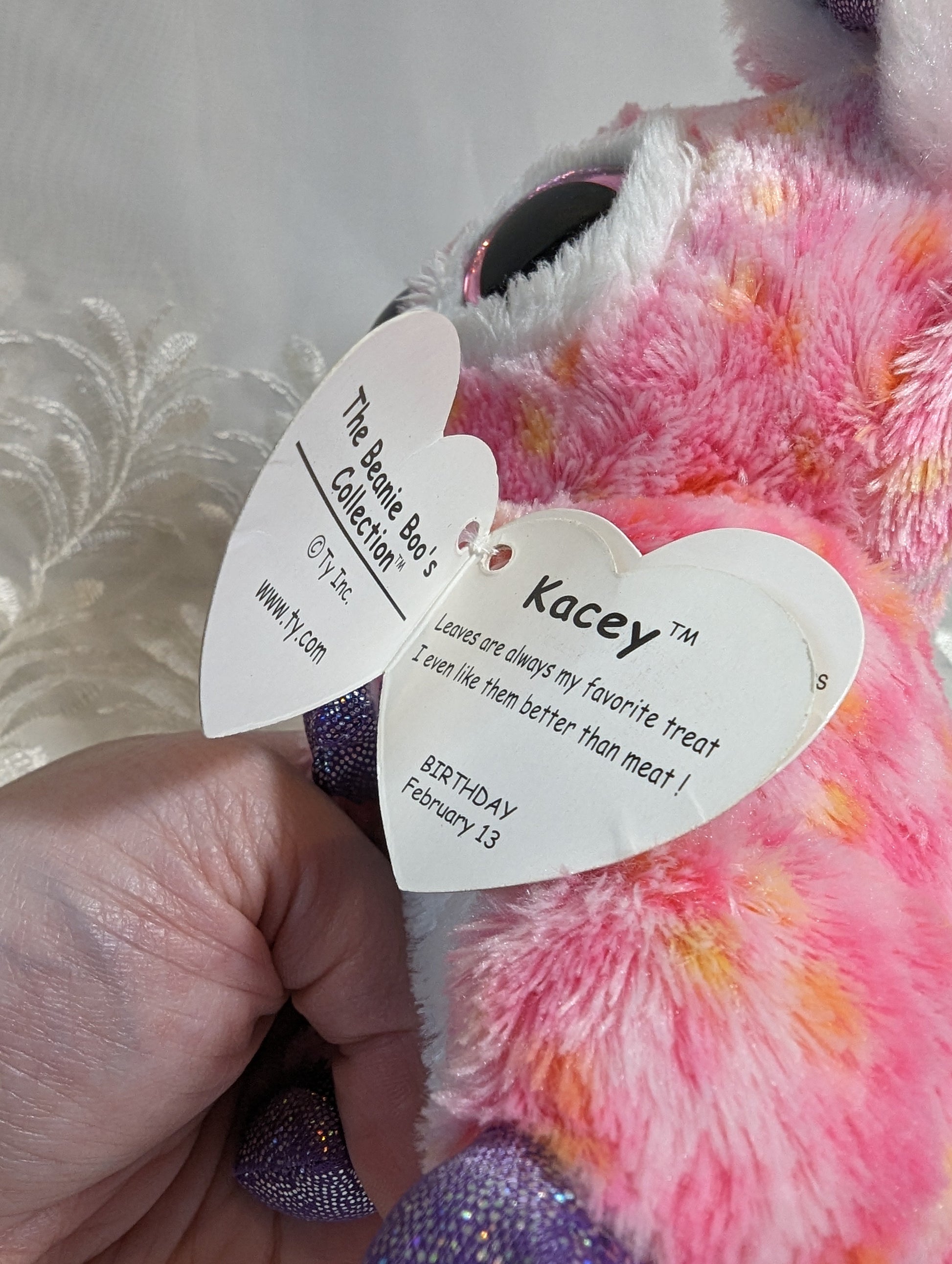 Ty Beanie Boo - Kacey The Koala (6in) Near-mint Hang Tag - Vintage Beanies Canada