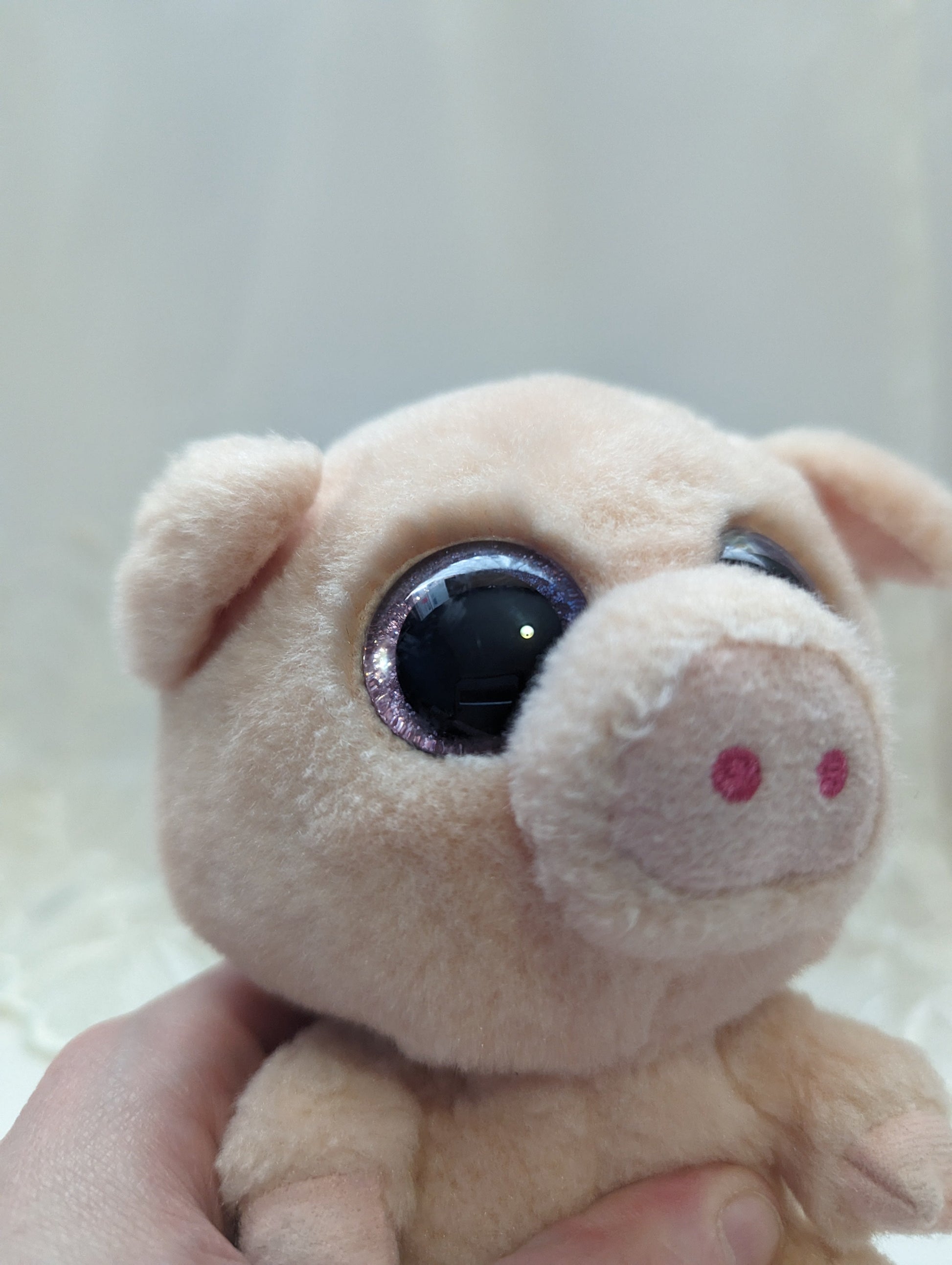 Ty Beanie Boo - Piggley The Pig (6in) No Hang Tag - See Description - Vintage Beanies Canada
