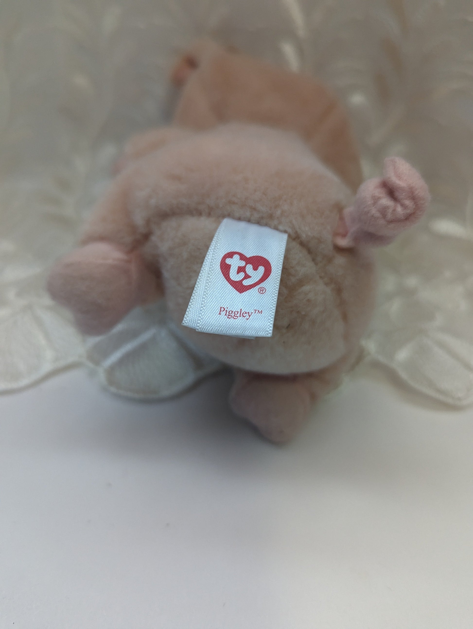 Ty Beanie Boo - Piggley The Pig (6in) No Hang Tag - See Description - Vintage Beanies Canada