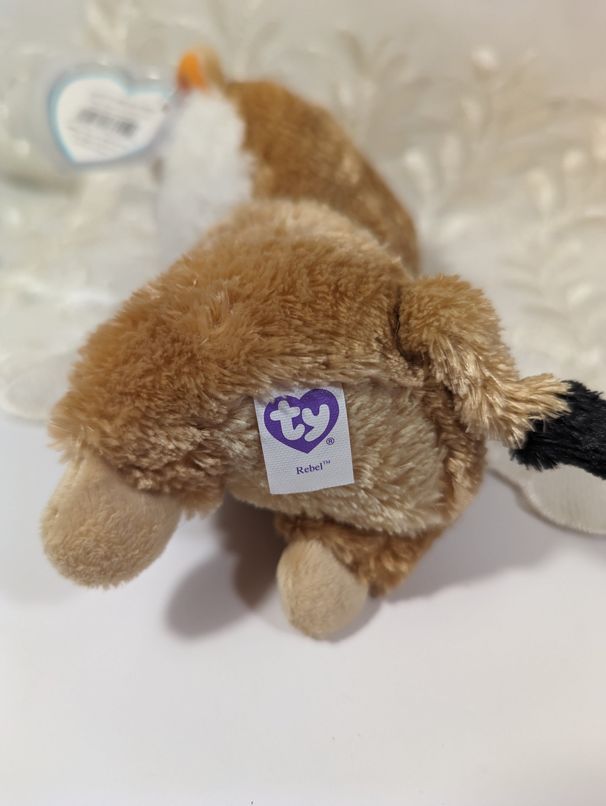 Ty Beanie Boo - Rebel The Meerkat (6 in) *Rare* Creased Tag - Vintage Beanies Canada