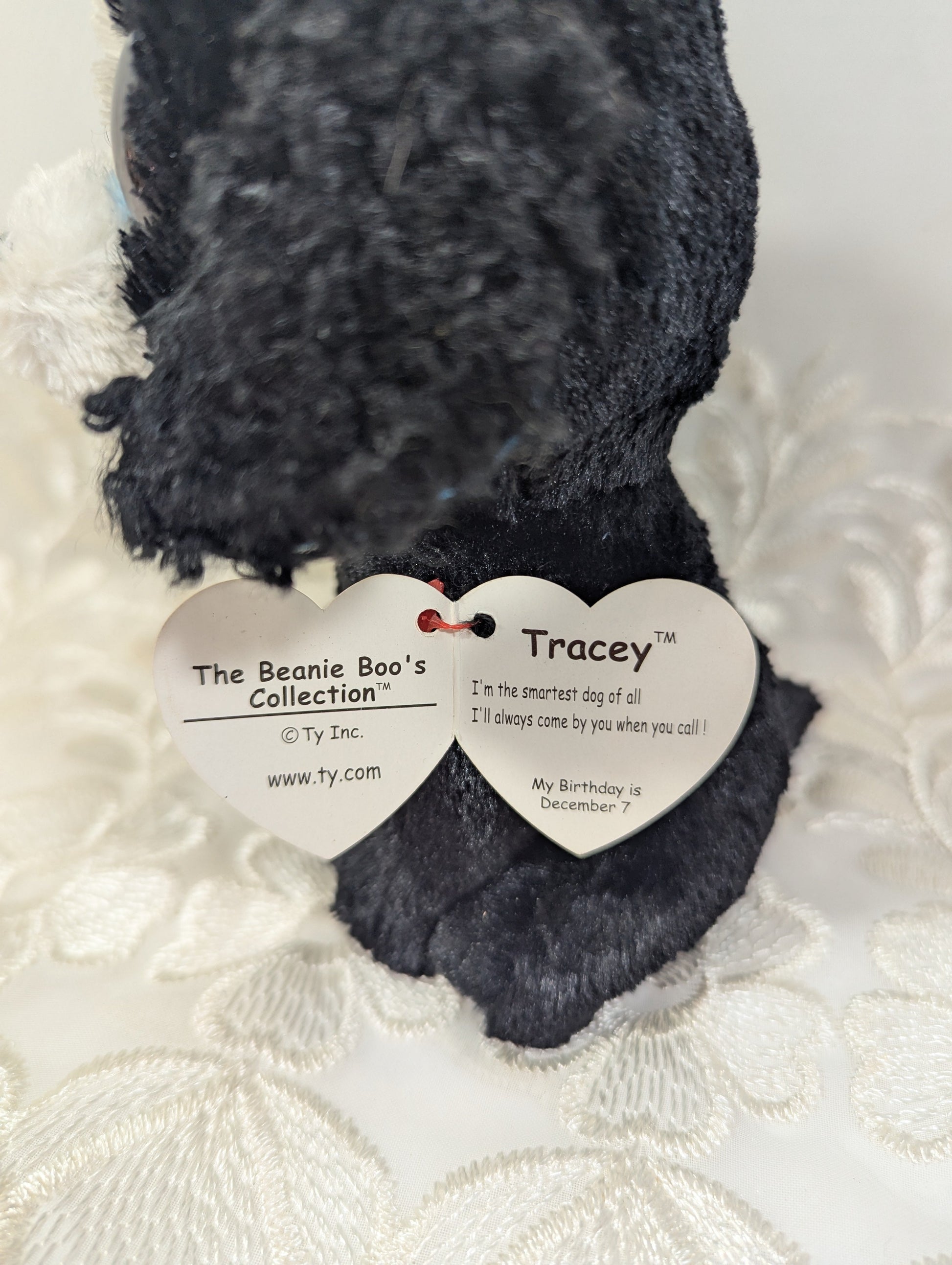 Ty Beanie Boo - Tracy The Dog (6in) Minor Scuffed Eyes - Vintage Beanies Canada