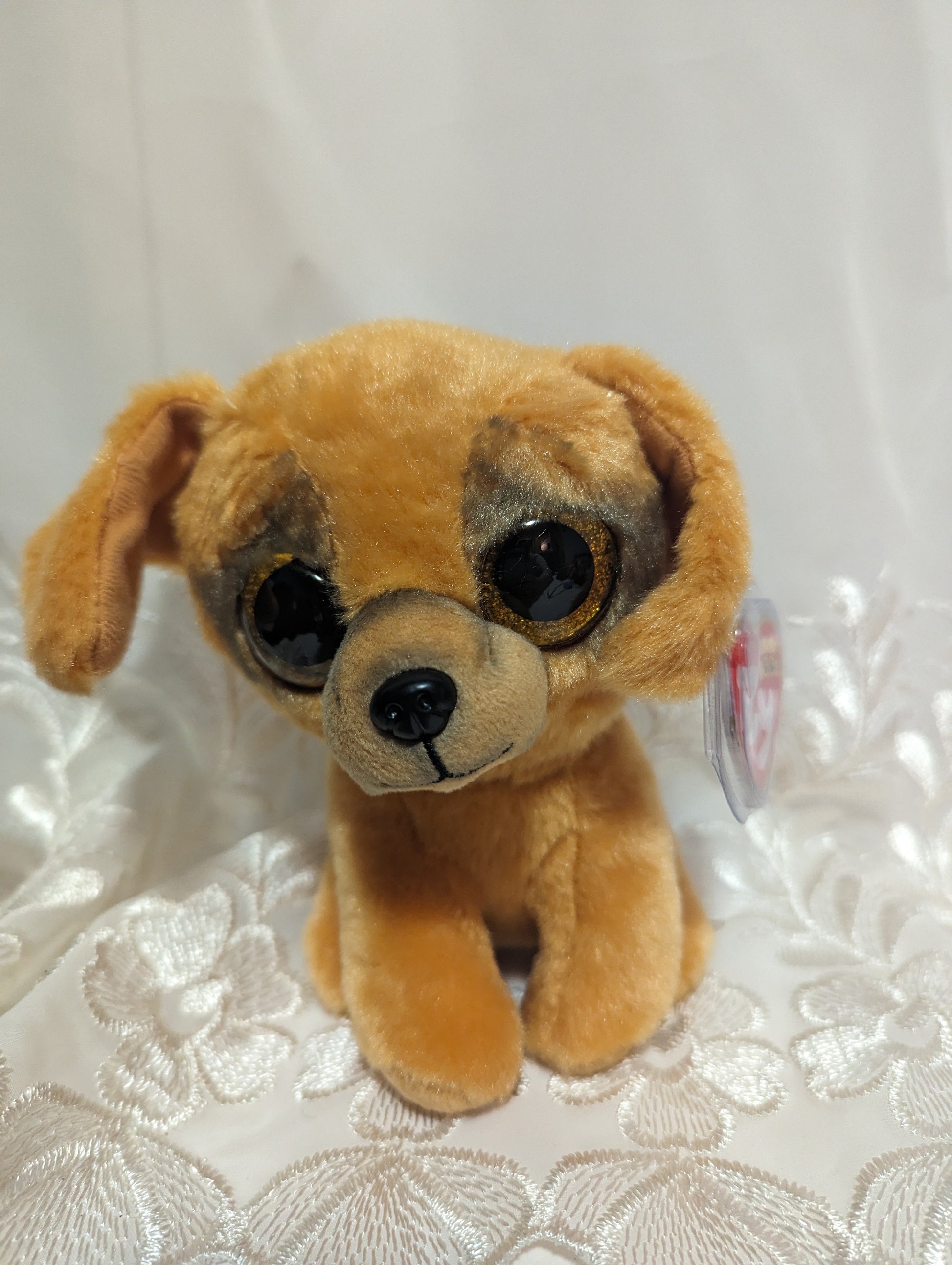 Ty Beanie Boo - Zuzu The Dog (6in) - Vintage Beanies Canada