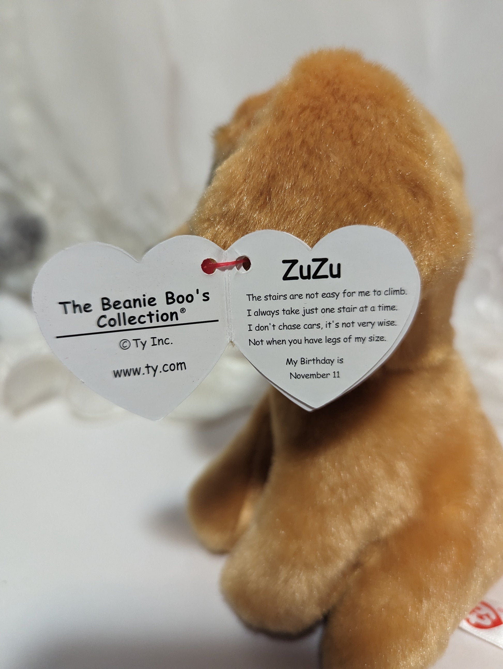 Ty Beanie Boo - Zuzu The Dog (6in) - Vintage Beanies Canada