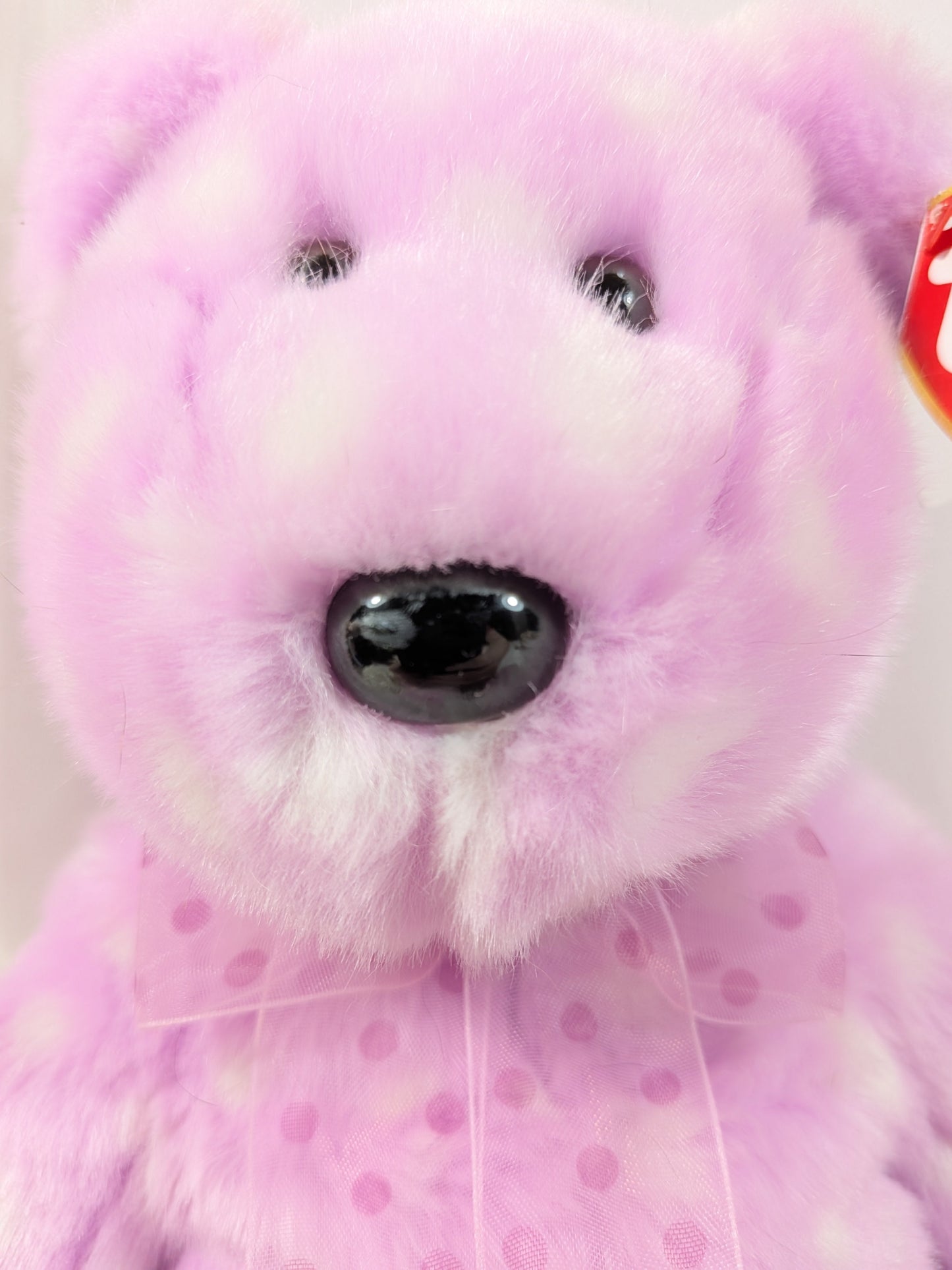 Ty Beanie Buddy - Bravo The Pink Bear (14in) - Vintage Beanies Canada