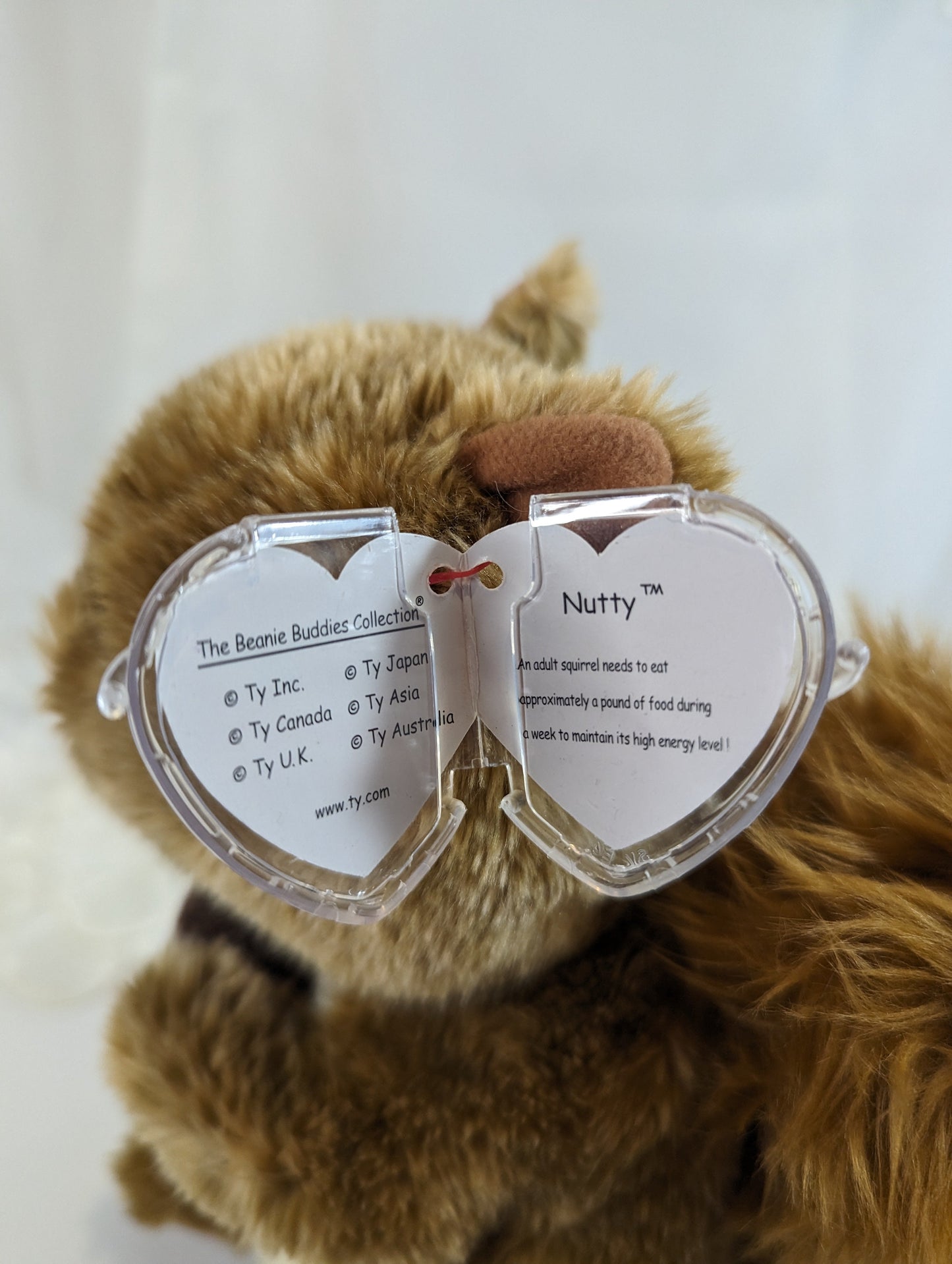 Ty Beanie Buddy - Nutty the Squirrel (10 in) - Vintage Beanies Canada