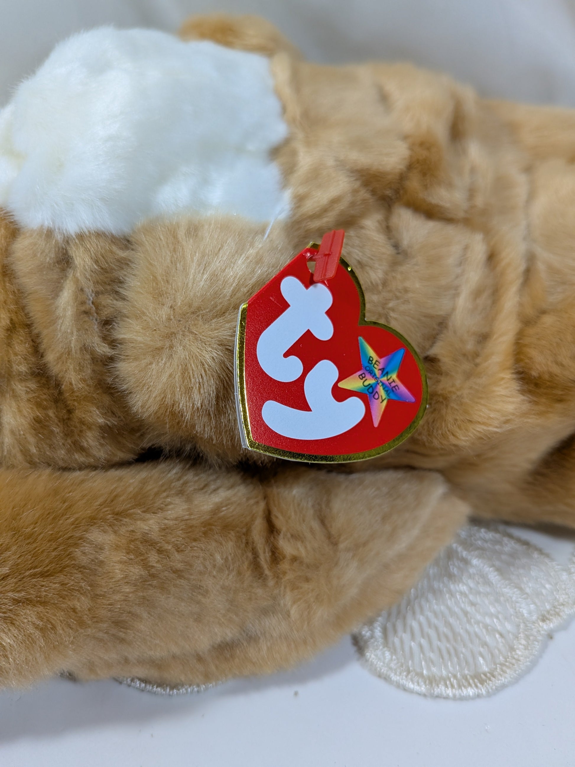 Ty Beanie Buddy - Wrinkles The Bulldog (12in) - Vintage Beanies Canada