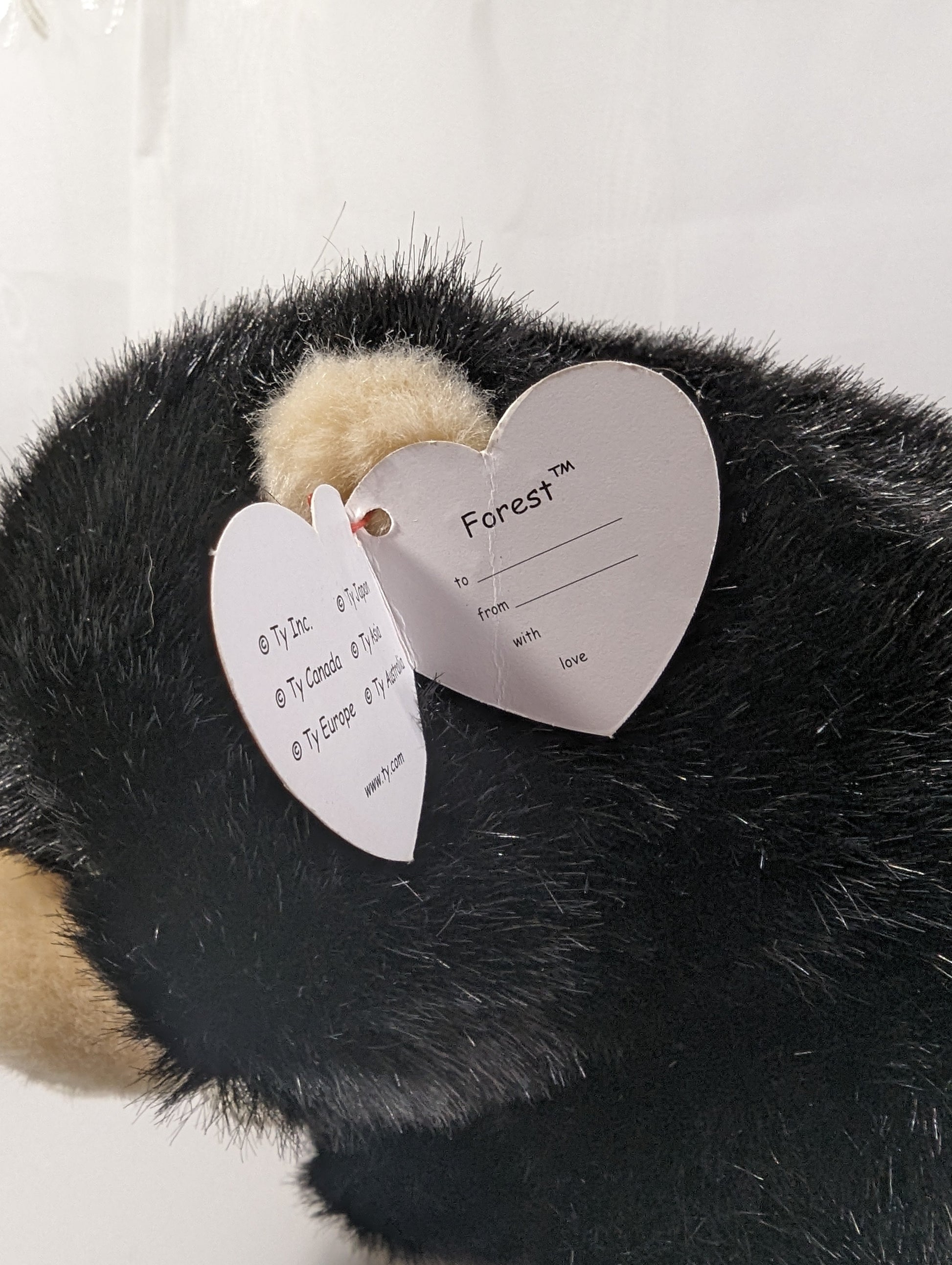 Ty Classic Collection - Forest the Black Bear (11in) Creased Hang Tag - Vintage Beanies Canada