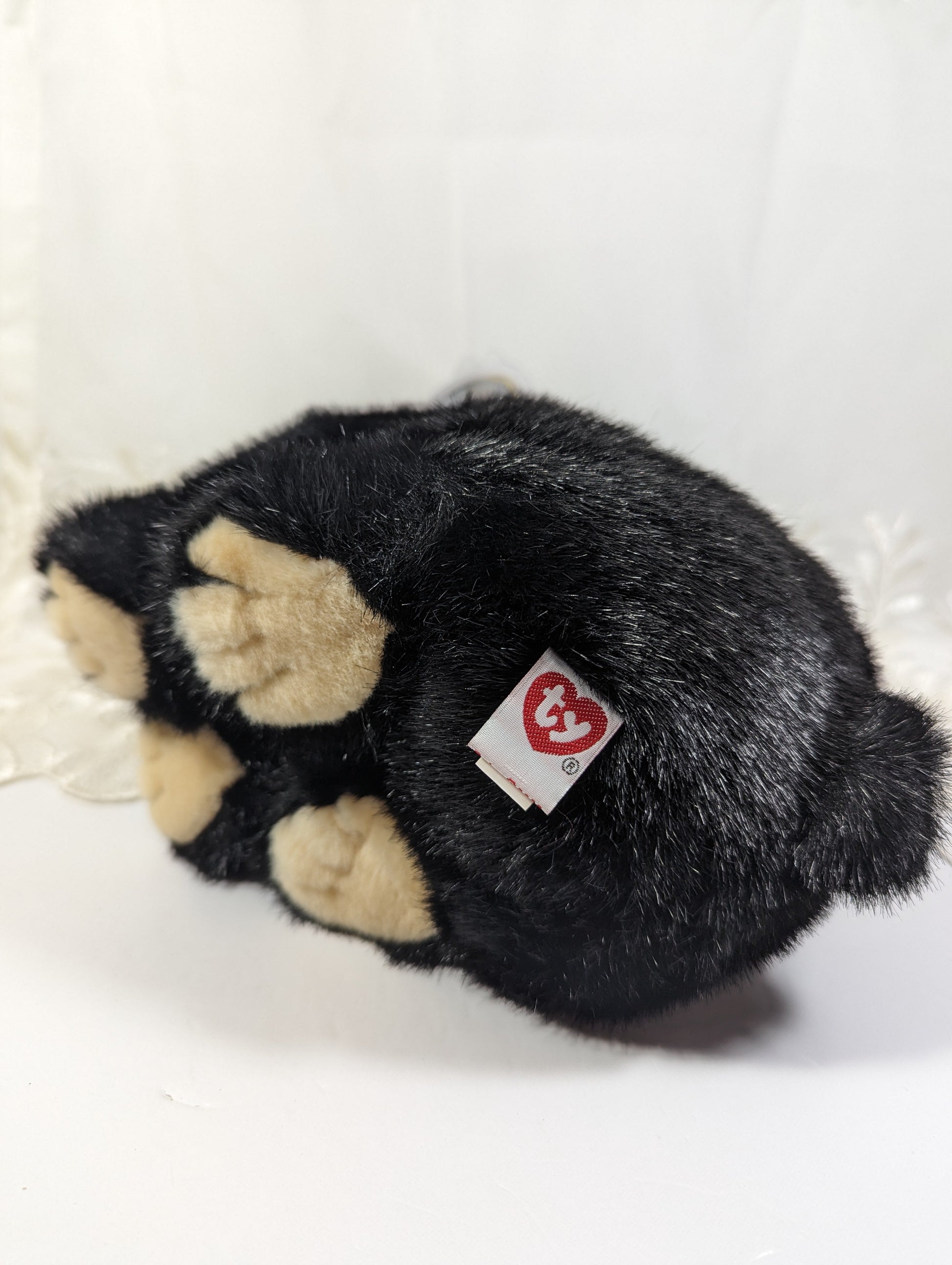 Ty Classic Collection - Forest the Black Bear (11in) Creased Hang Tag - Vintage Beanies Canada