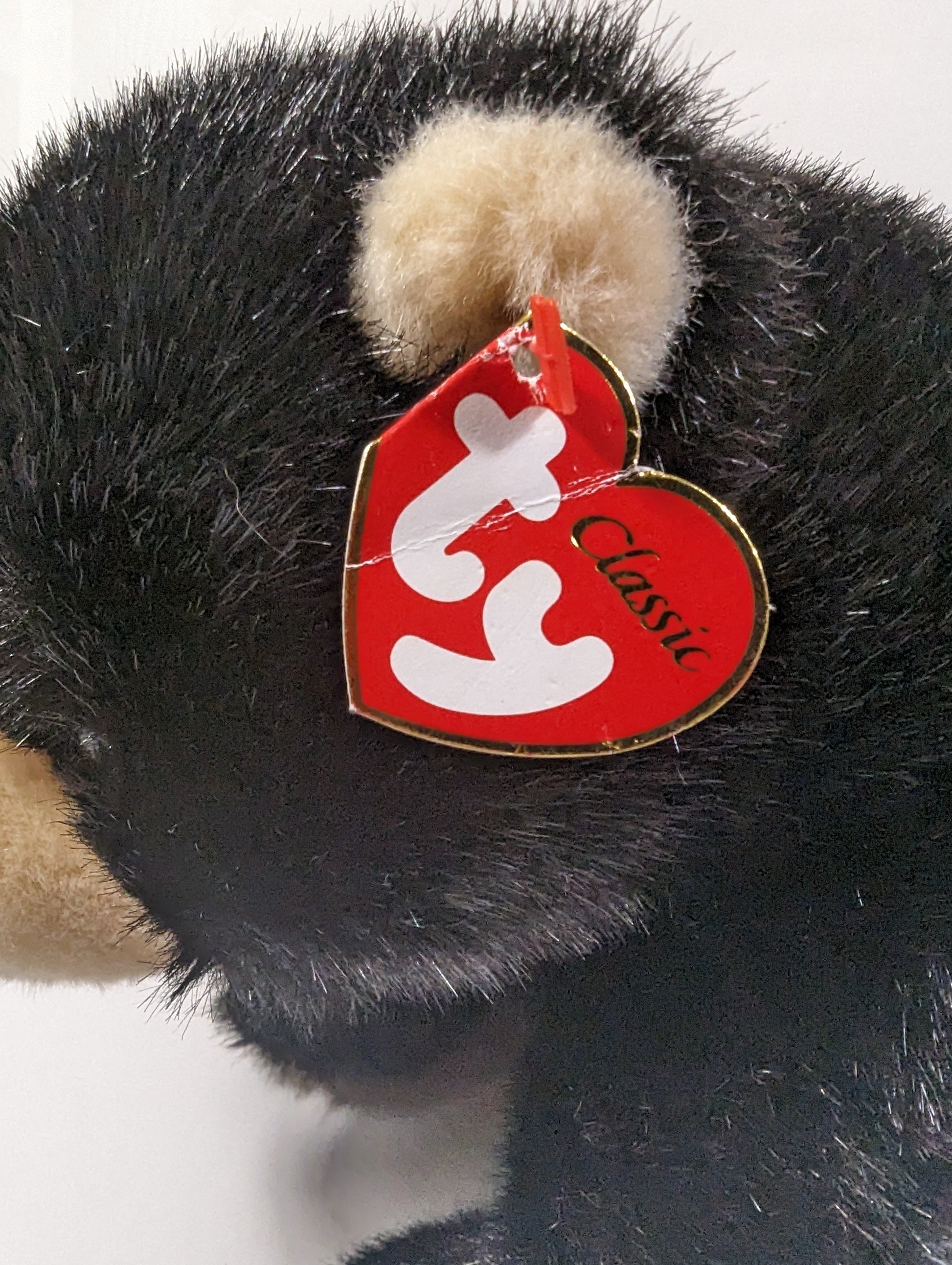 Ty Classic Collection - Forest the Black Bear (11in) Creased Hang Tag - Vintage Beanies Canada