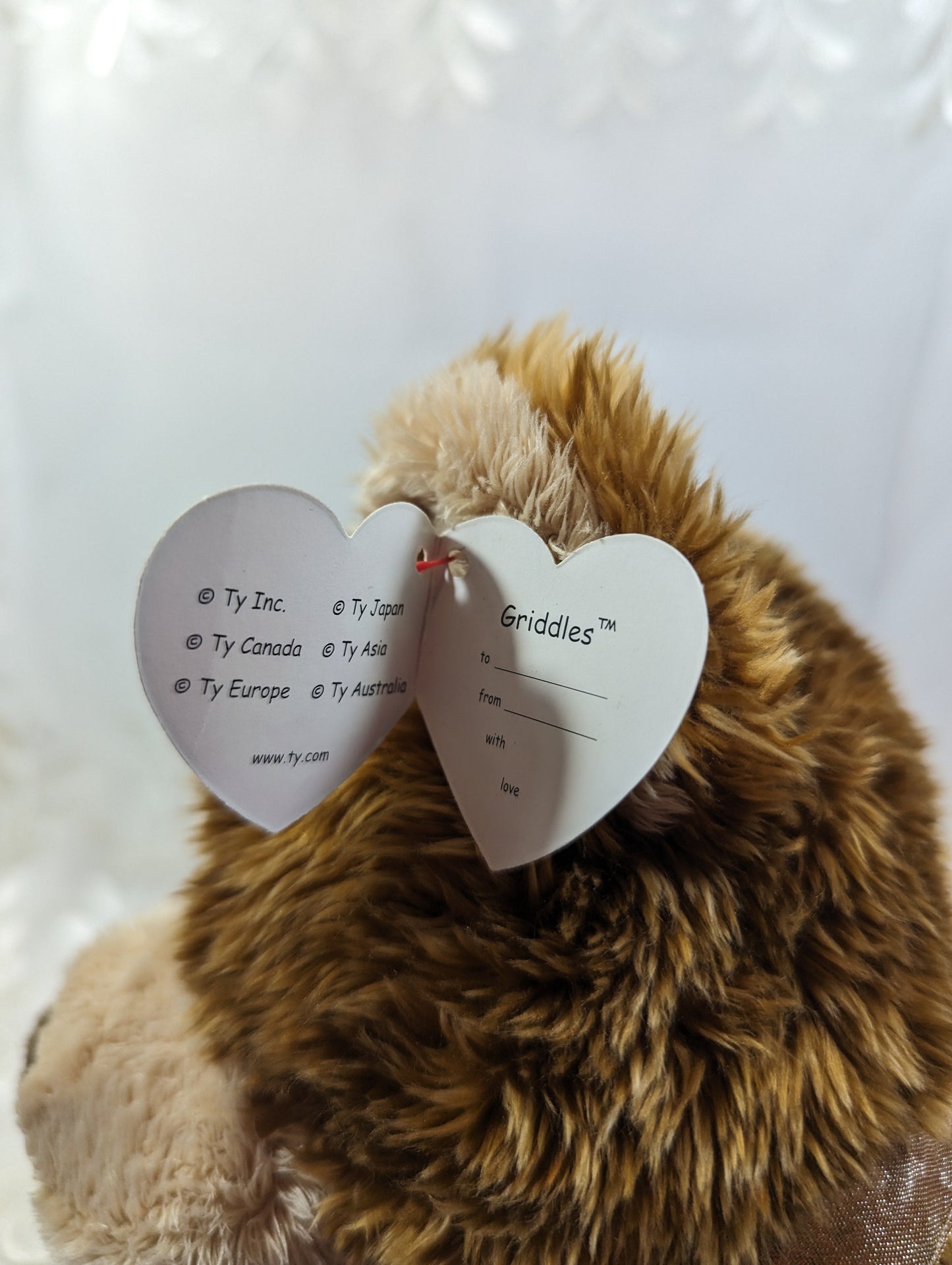 Ty Classic Collection - Griddles The Bear (14in) Non-mint Hang Tag - Vintage Beanies Canada