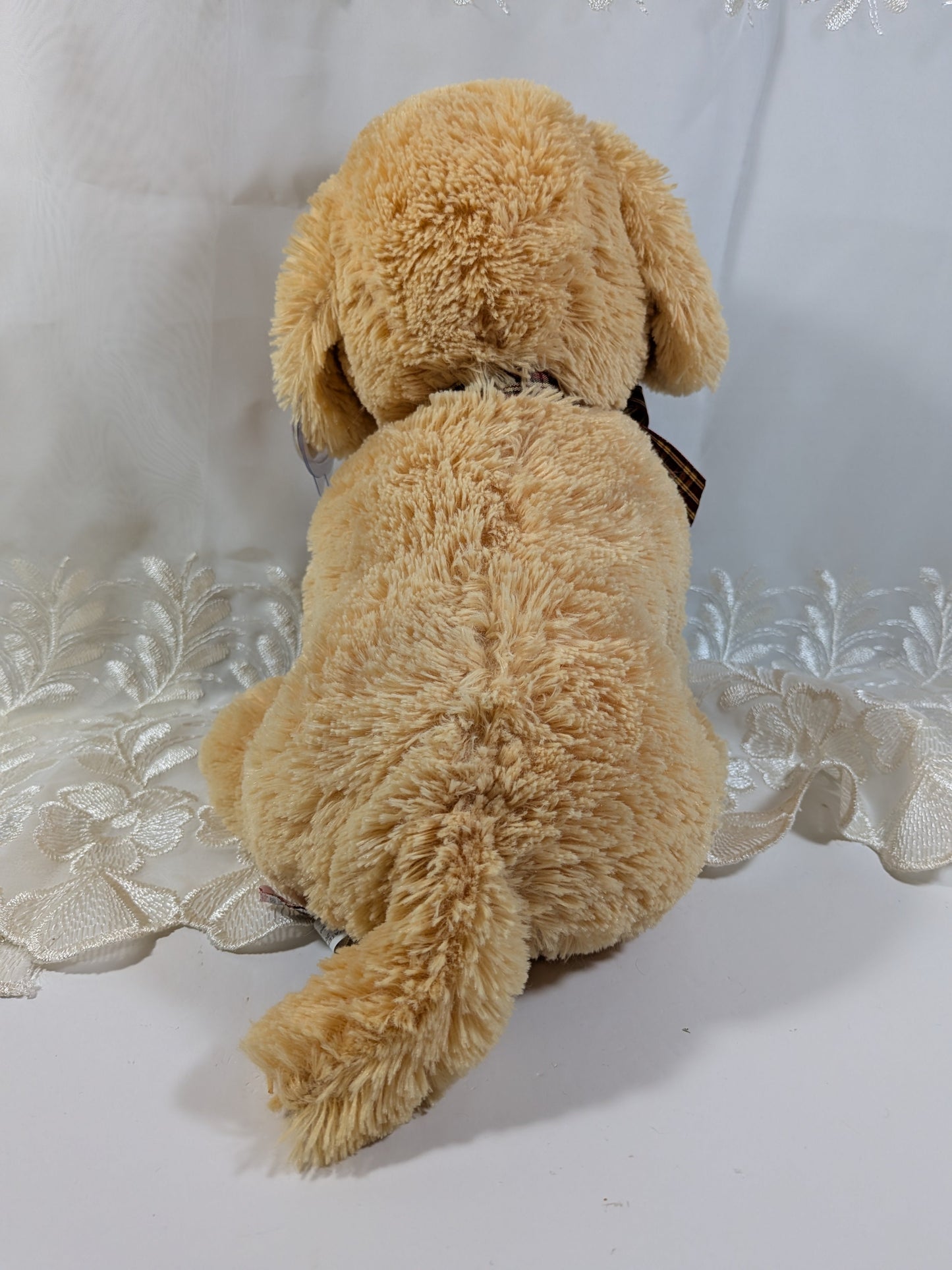 Ty Classics Collection - Goldwyn the Golden Retriever (12 in) Near Mint Tag - Vintage Beanies Canada