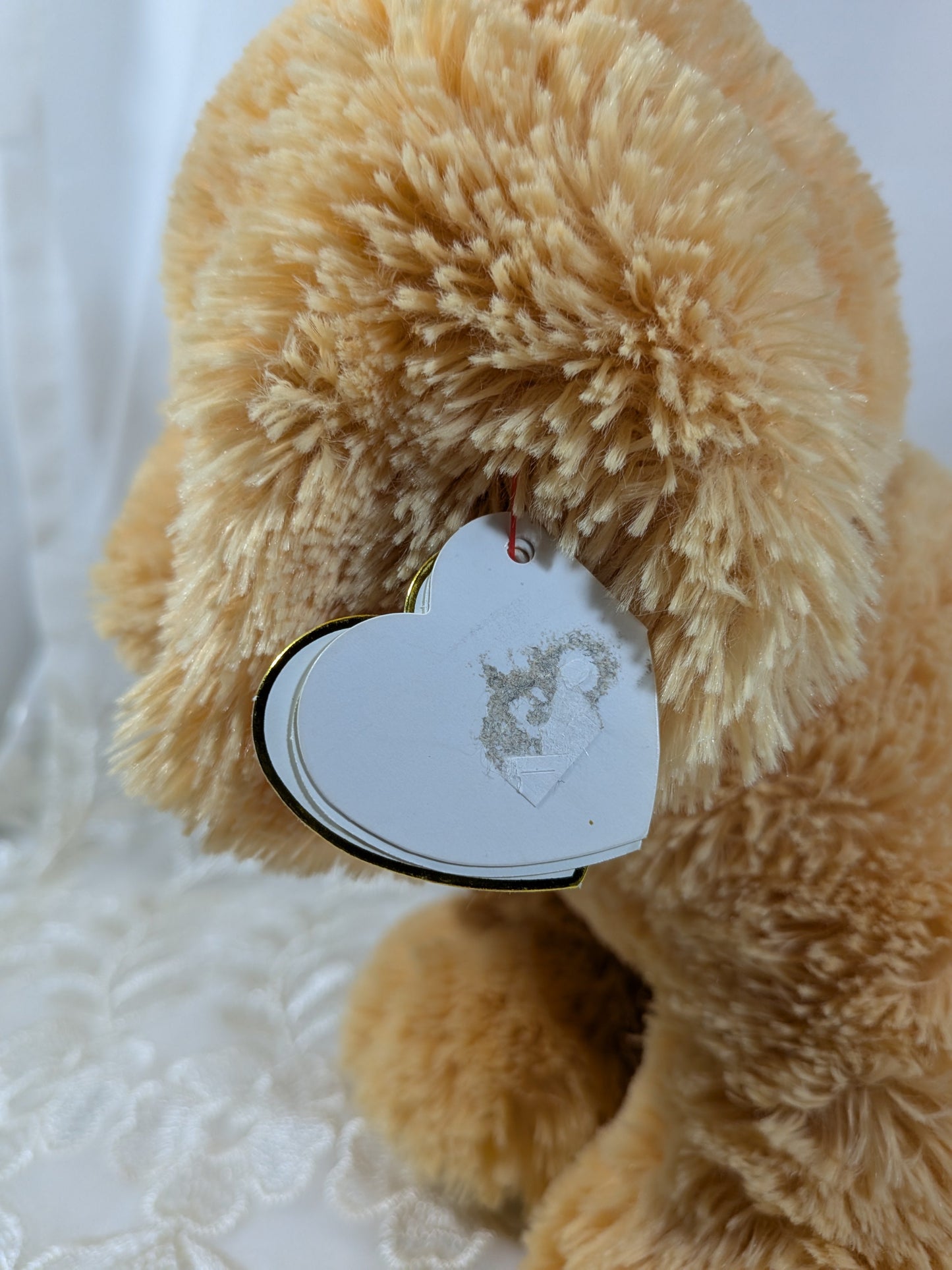 Ty Classics Collection - Goldwyn the Golden Retriever (12 in) Near Mint Tag - Vintage Beanies Canada