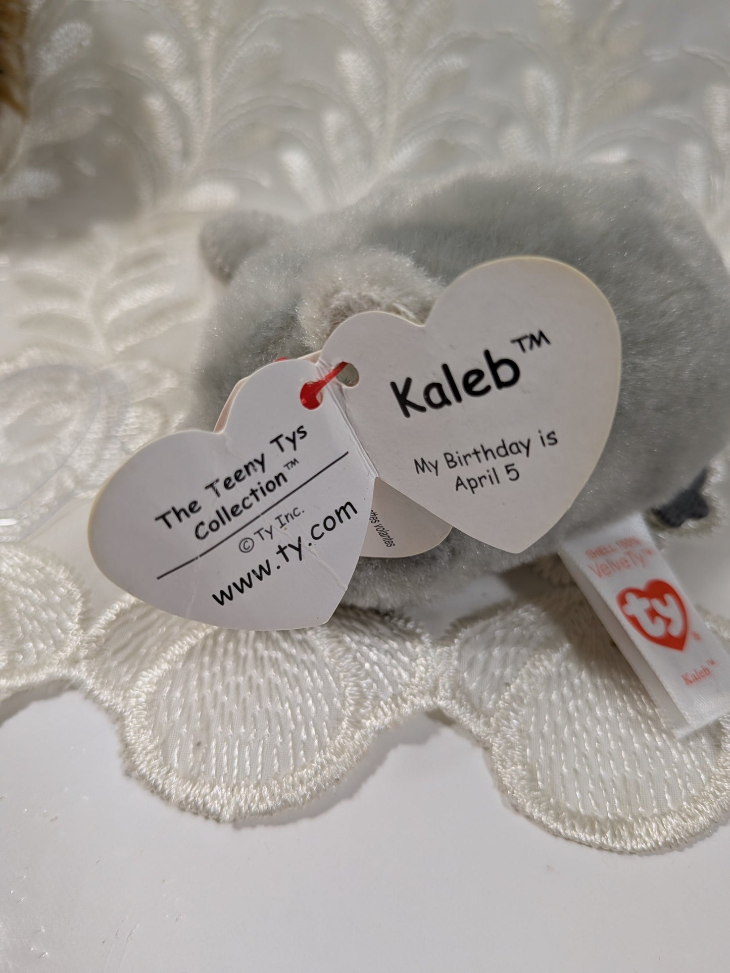 Ty Teeny Tys - Kaleb the Koala (4in) Non - mint Hang tag - Vintage Beanies Canada