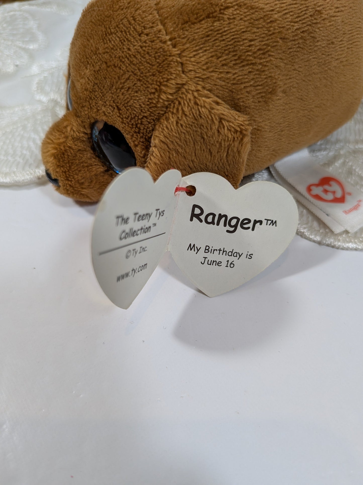 Ty Teeny Tys - Ranger The Dog (4in) - Vintage Beanies Canada