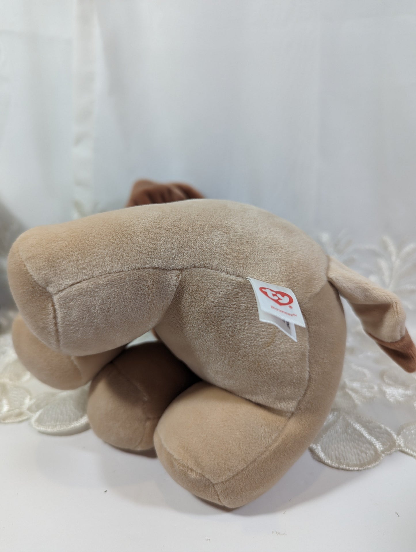 Ty Baby Collection - Bouncer The Lion (9 in) No Tag - Vintage Beanies Canada