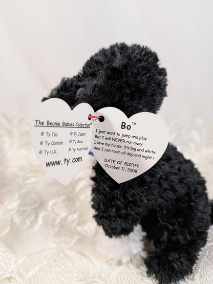 TY Beanie Baby 2.0 - BO the Portuguese Water Dog (6 inch) - Vintage Beanies Canada