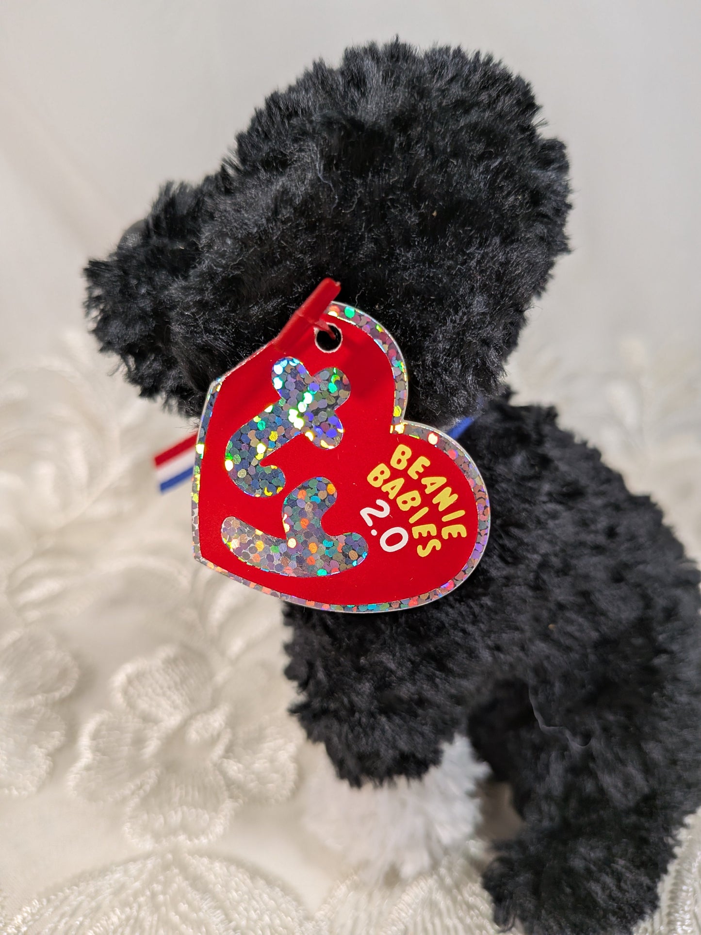TY Beanie Baby 2.0 - BO the Portuguese Water Dog (6 inch) - Vintage Beanies Canada