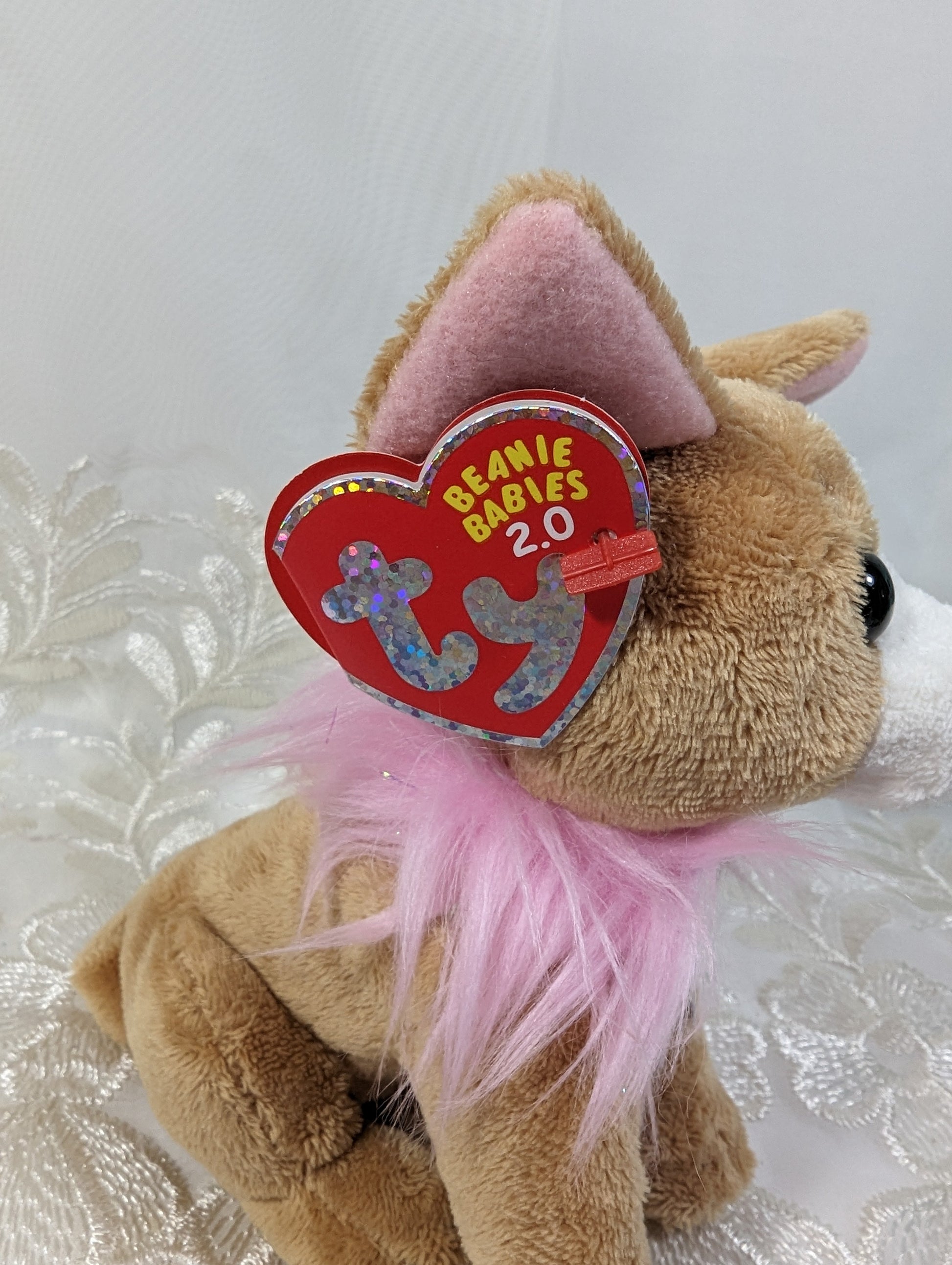 Ty Beanie Baby 2.0 - Pico the Chihuahua (6in) - Vintage Beanies Canada