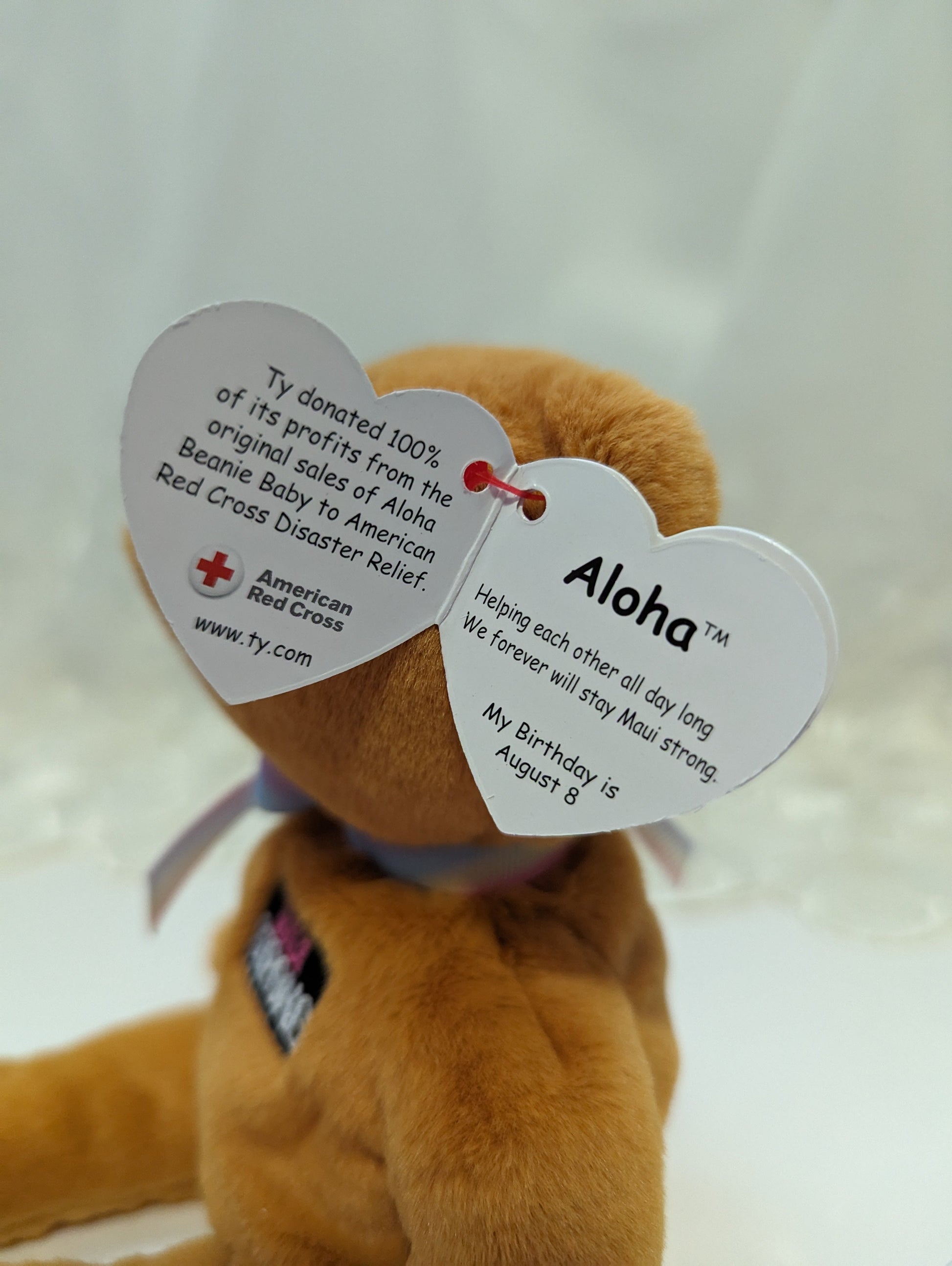 Ty Beanie Baby - Aloha The Bear (8.5in) Limited Edition Maui Strong - Vintage Beanies Canada