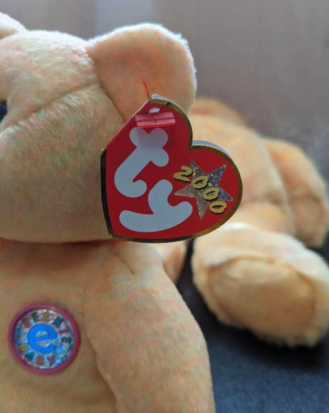 Ty Beanie Baby + Beanie Buddy - Sunny The Bear - Lot of E Bears - Near Mint (Sold As Pair) - Vintage Beanies Canada