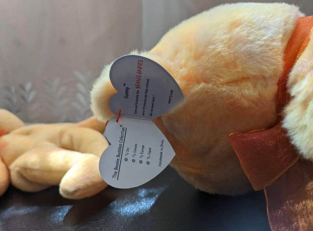 Ty Beanie Baby + Beanie Buddy - Sunny The Bear - Lot of E Bears - Near Mint (Sold As Pair) - Vintage Beanies Canada