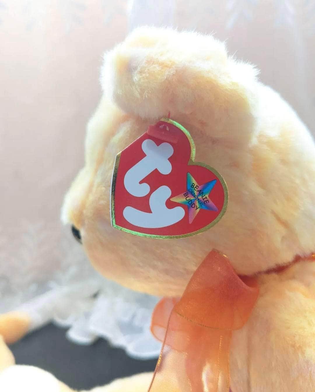 Ty Beanie Baby + Beanie Buddy - Sunny The Bear - Lot of E Bears - Near Mint (Sold As Pair) - Vintage Beanies Canada