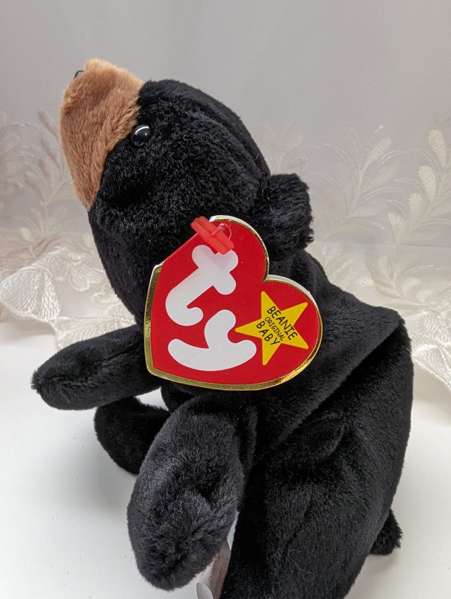 Ty Beanie Baby - Blackie The Black Bear (8in) - Vintage Beanies Canada