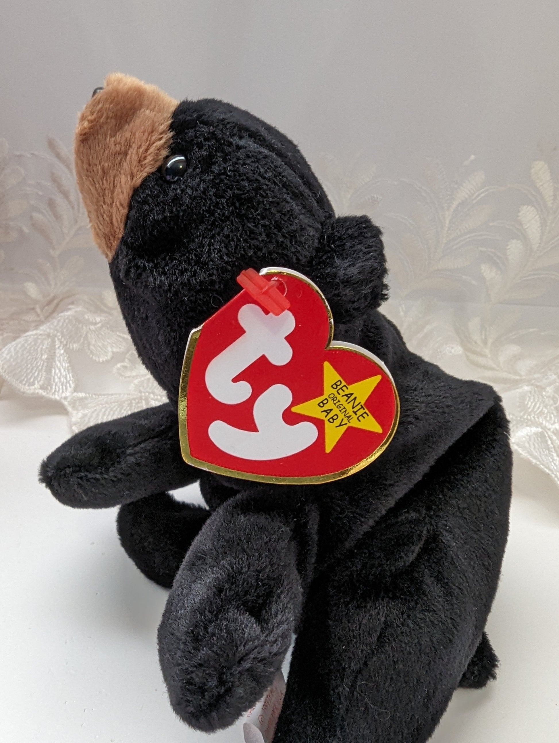 Ty Beanie Baby - Blackie The Black Bear (8in) - Vintage Beanies Canada