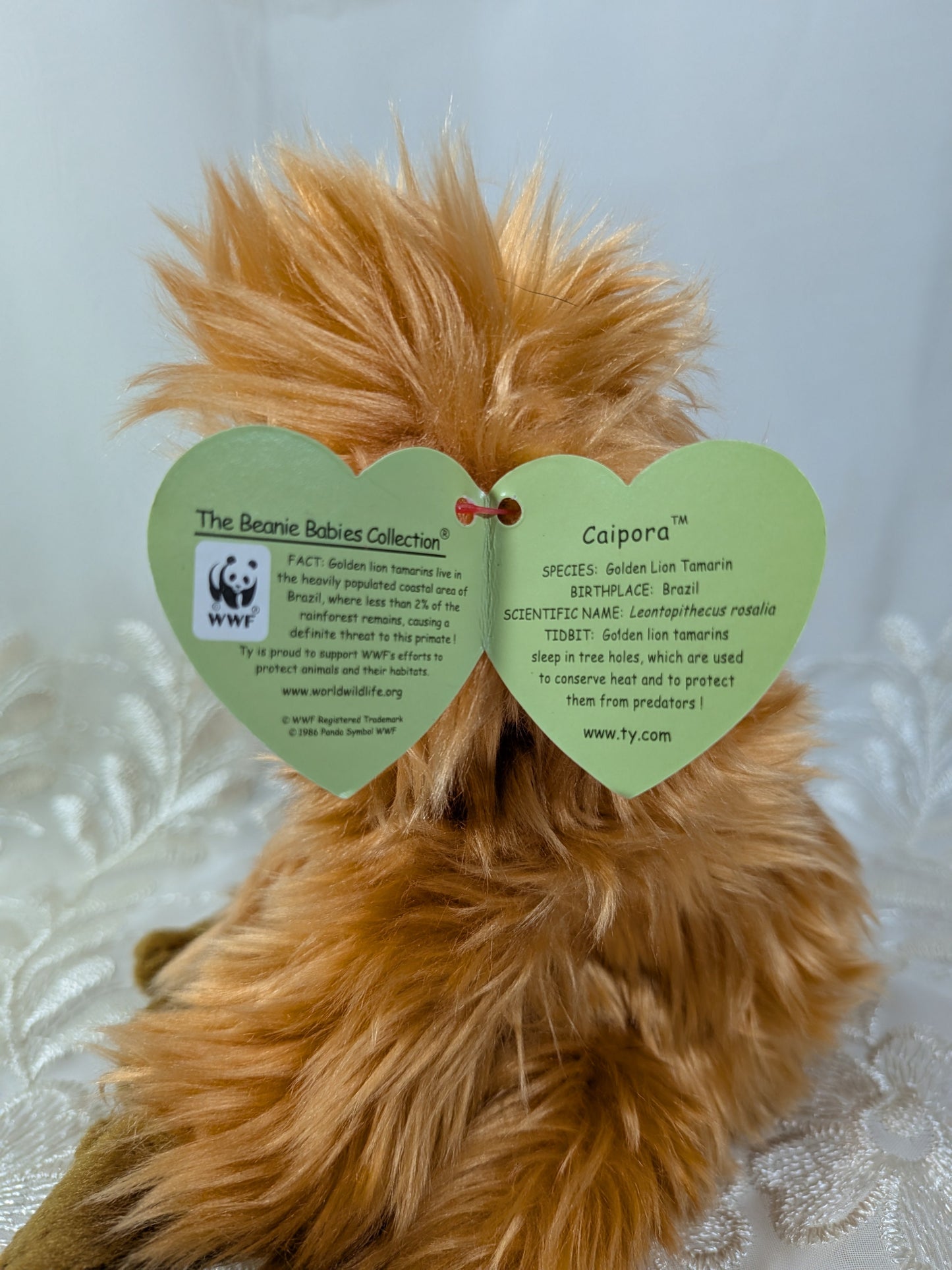Ty Beanie Baby - Caipora The Golden Lion Tamarin (8in) - Vintage Beanies Canada