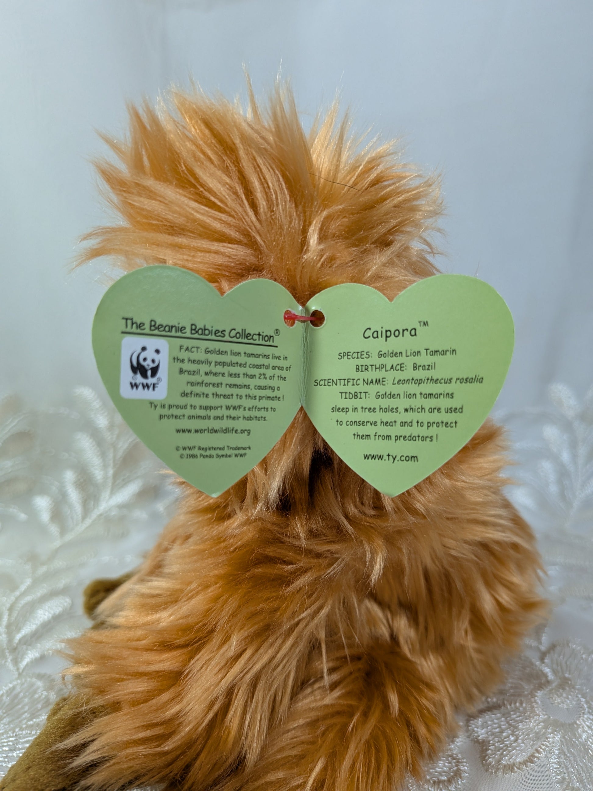 Ty Beanie Baby - Caipora The Golden Lion Tamarin (8in) - Vintage Beanies Canada