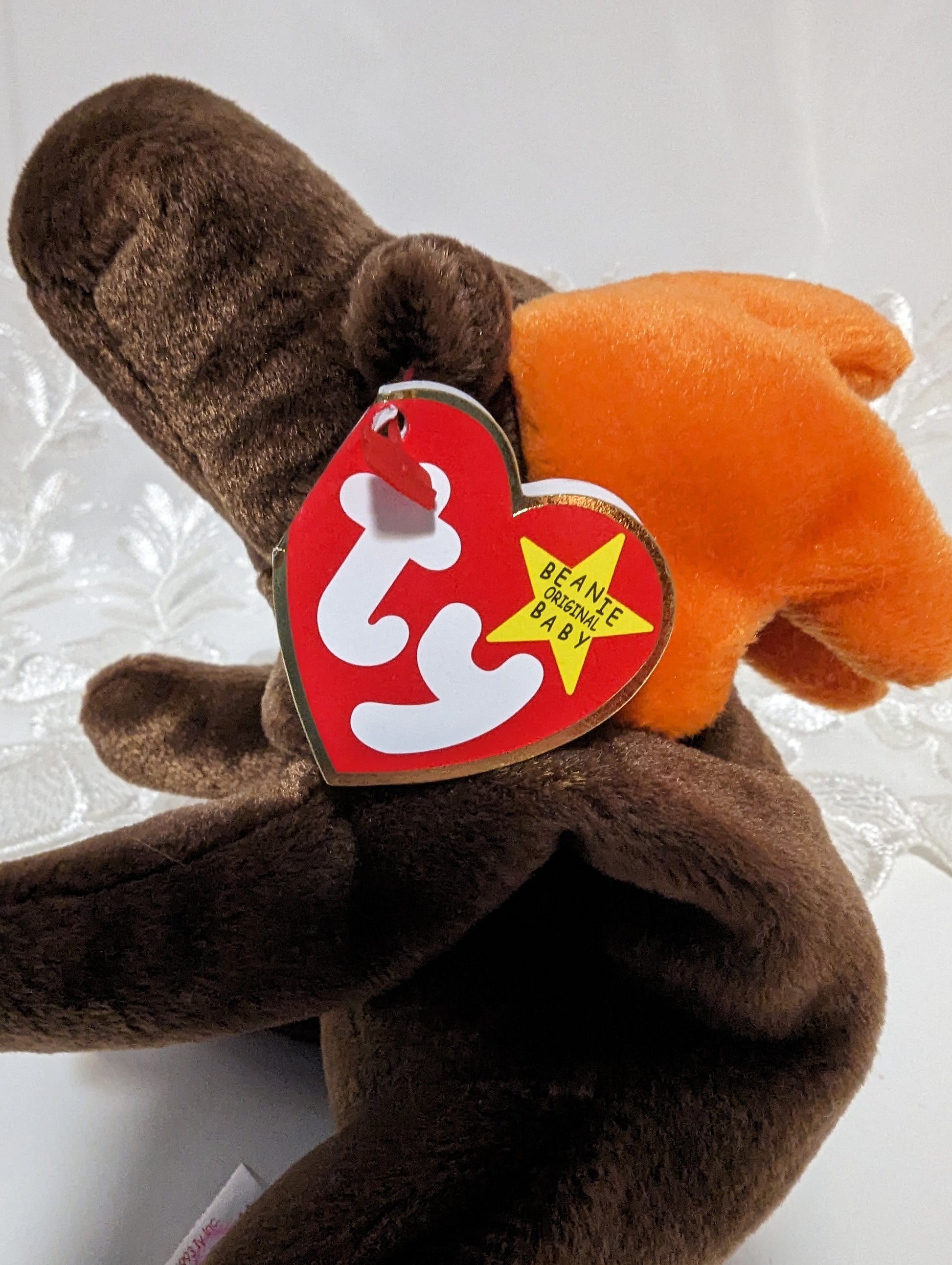 Ty Beanie Baby - Chocolate The Moose (8in) - Vintage Beanies Canada