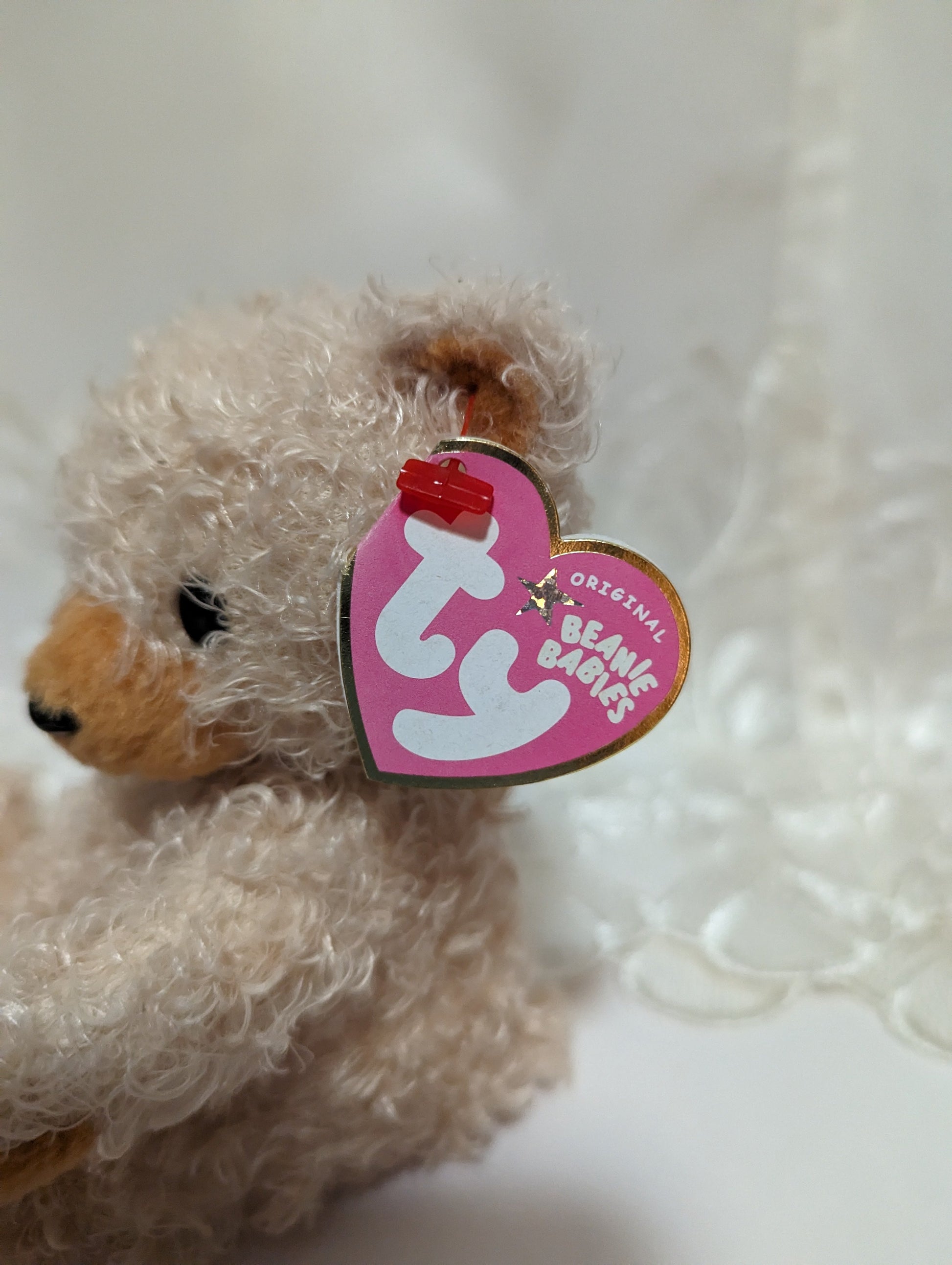 Ty Beanie Baby - Curls The Bear (6in) Faded Hang Tag - Vintage Beanies Canada