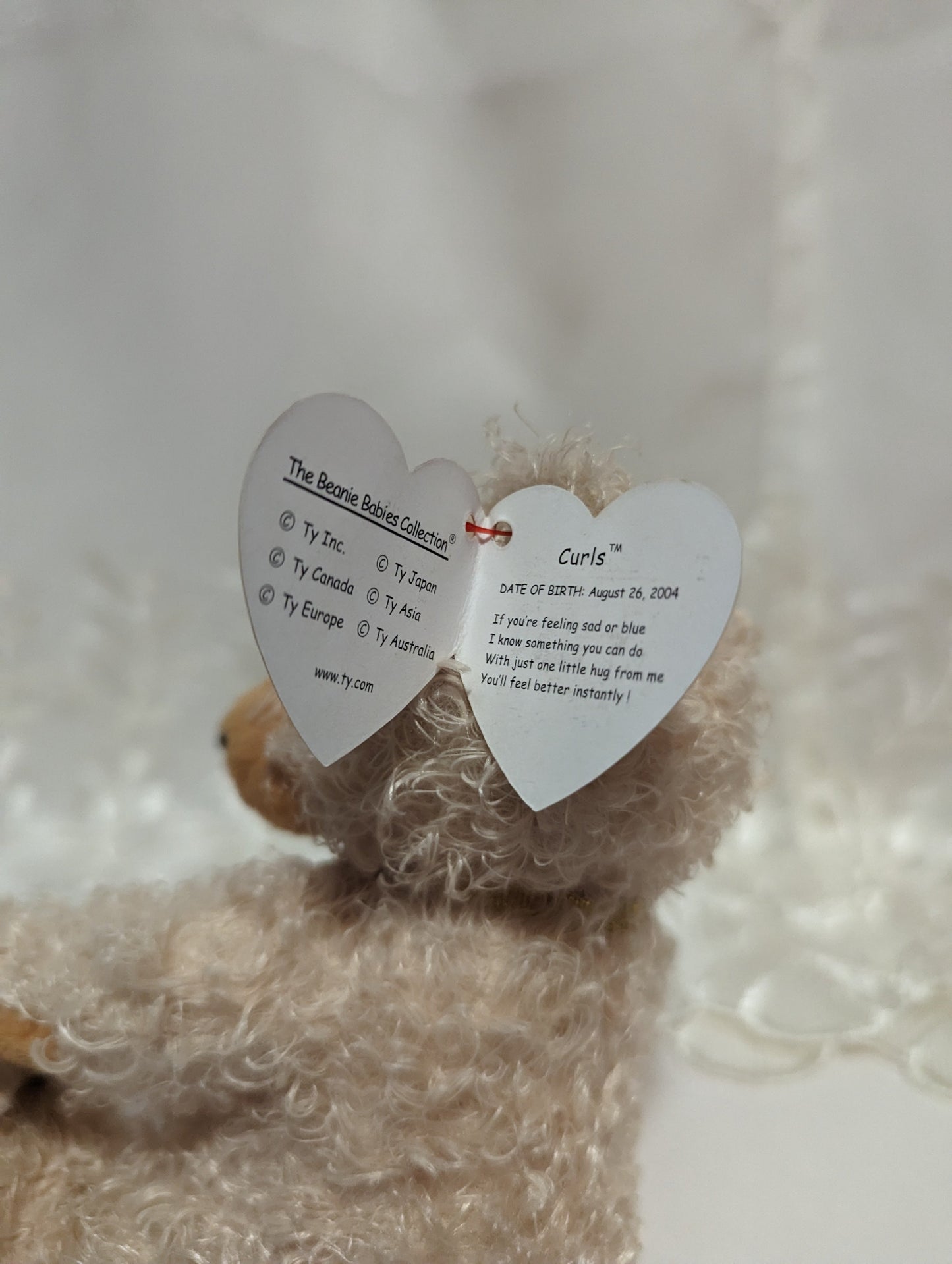 Ty Beanie Baby - Curls The Bear (6in) Faded Hang Tag - Vintage Beanies Canada