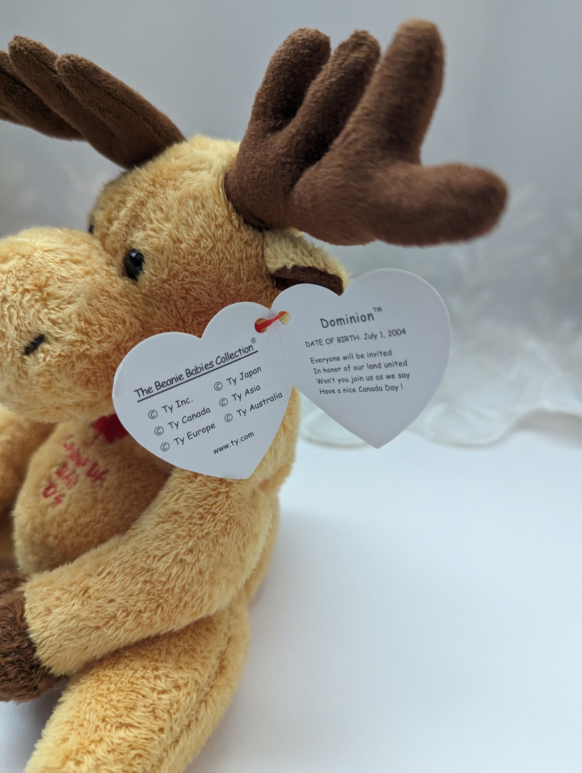Ty Beanie Baby - Dominion The Moose (7in) - Vintage Beanies Canada