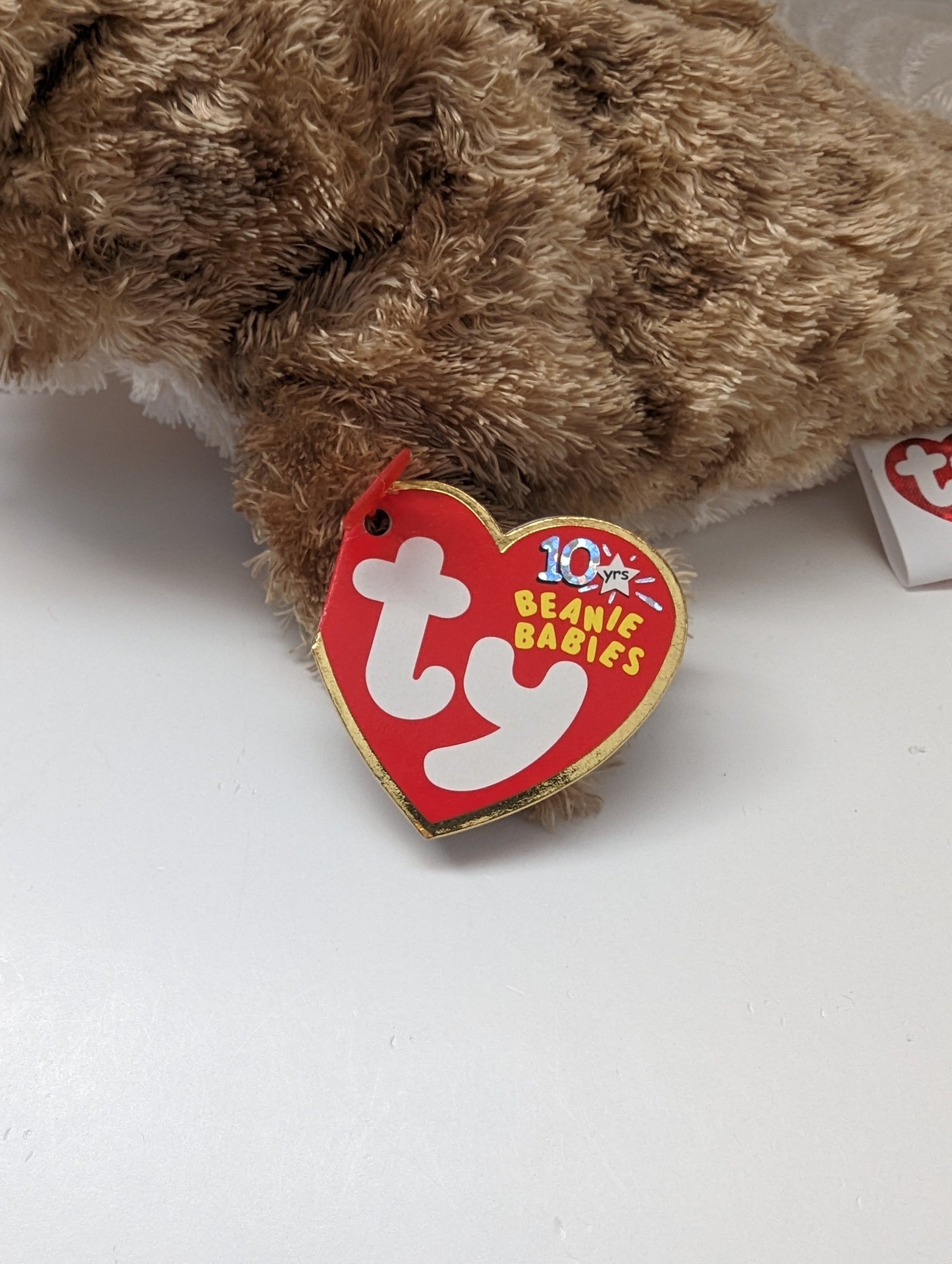 Ty Beanie Baby - Fins The Seal (8in) - Vintage Beanies Canada