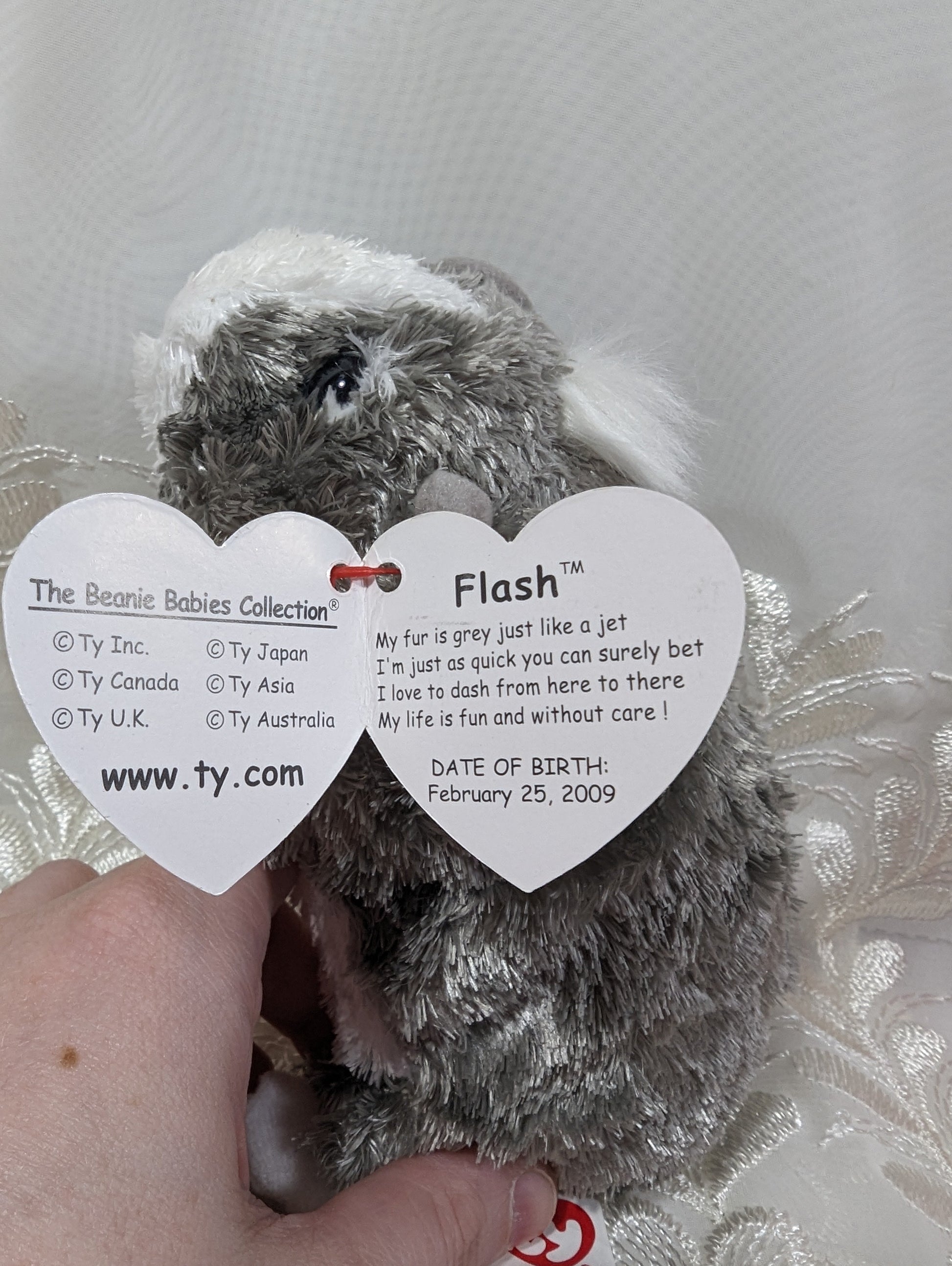 Ty Beanie Baby - Flash the Grey Guinea Pig *Rare* (6 in) - Vintage Beanies Canada