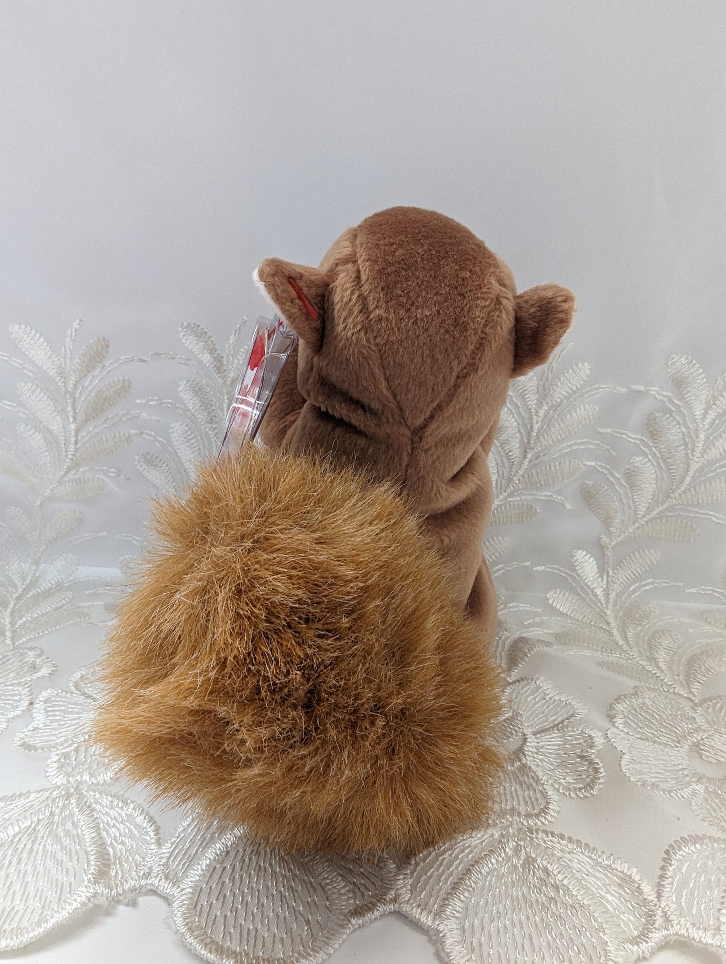 Ty Beanie Baby - Nuts The Squirrel (6in) - Vintage Beanies Canada