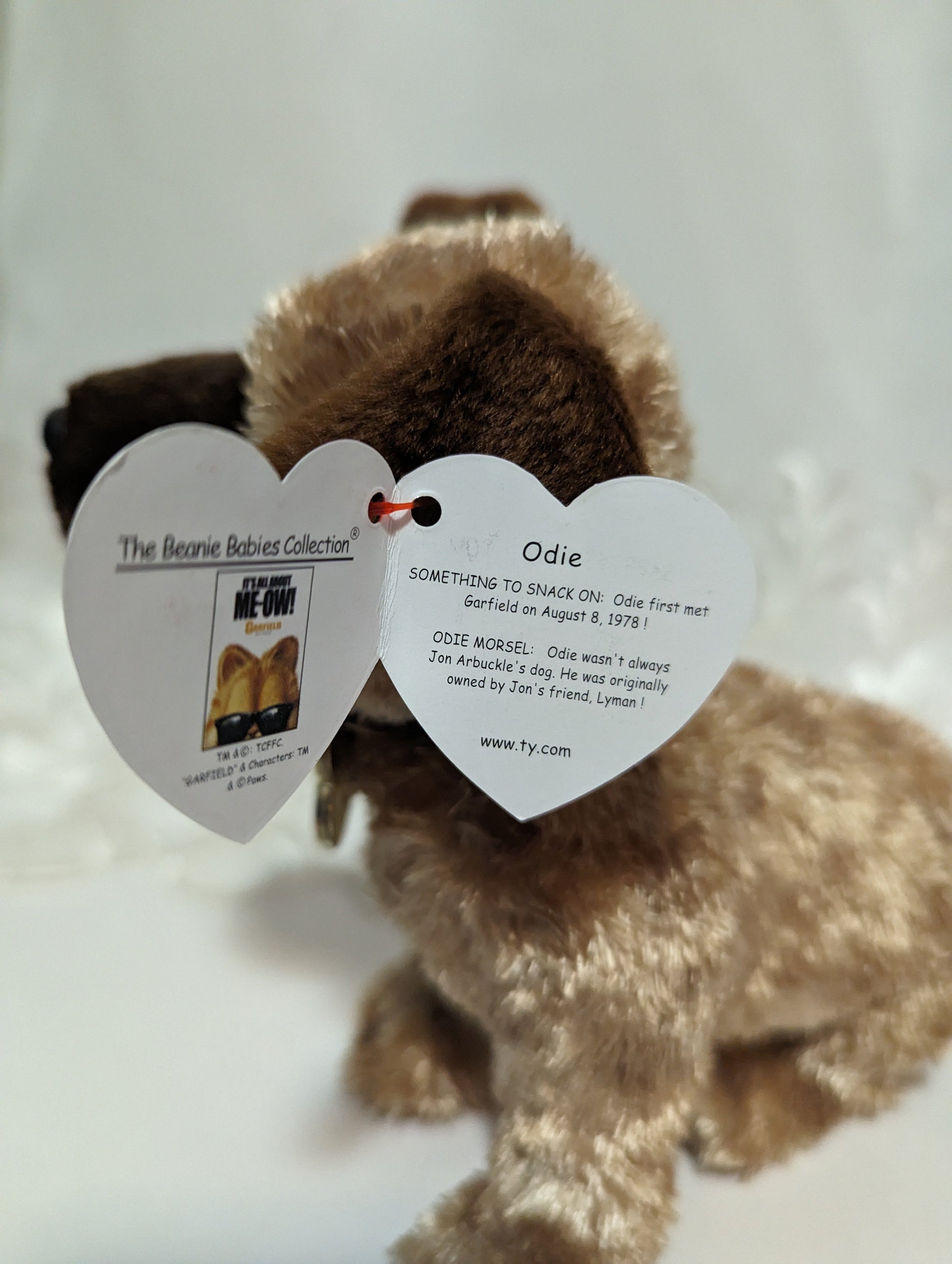 Ty Beanie Baby - Odie The Dog From Garfield (6in) - Vintage Beanies Canada