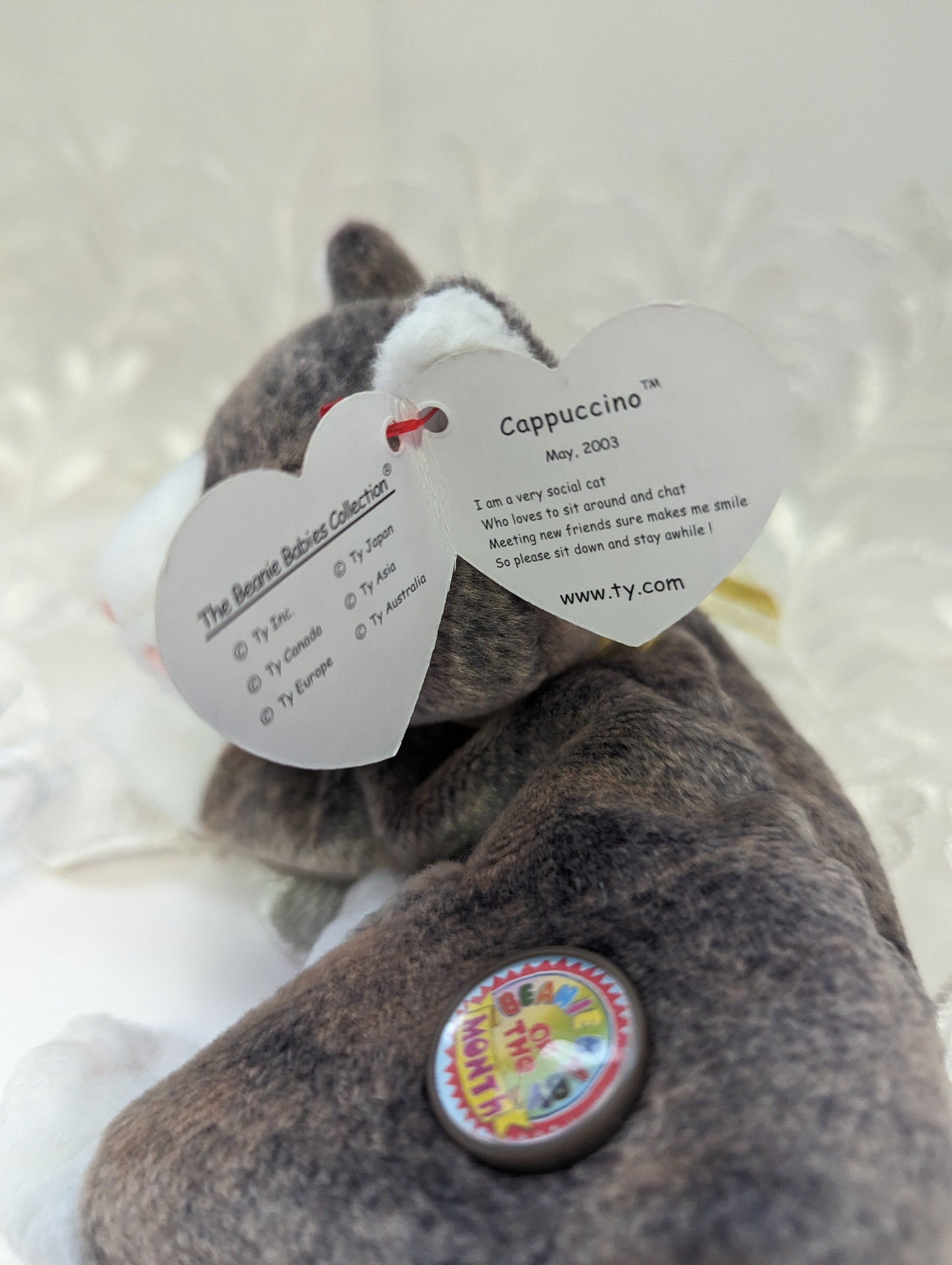 Ty Beanie Baby of the month - Cappuccino The Cat - May 2003 (8in) - Vintage Beanies Canada