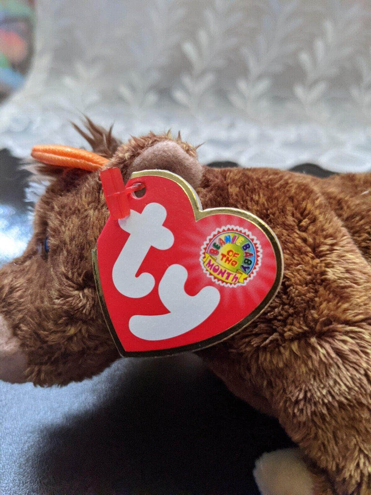 Ty Beanie Baby Of The Month - Jersey The Cow - January 2004 - Vintage Beanies Canada