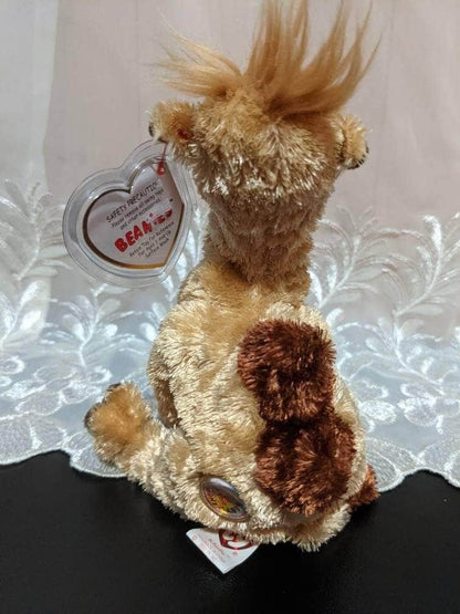 Ty Beanie Baby Of The Month - Khufu The Camel - August 2003 (8in) - Vintage Beanies Canada